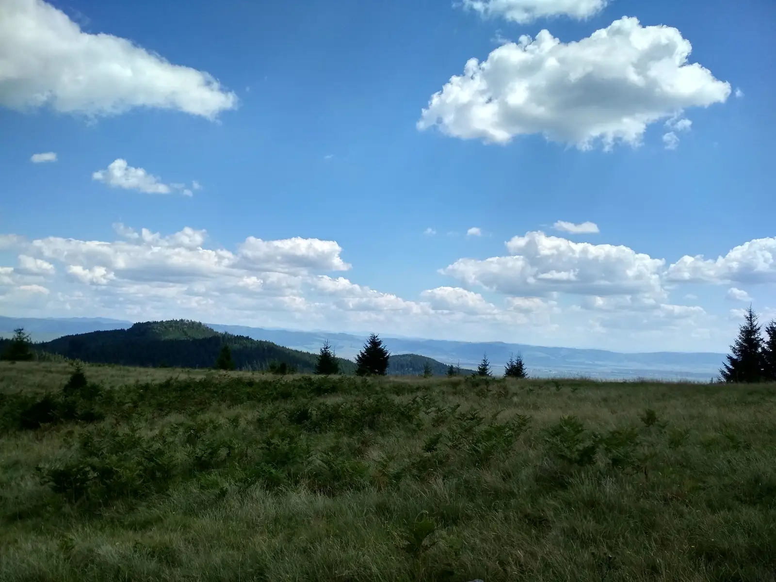 oraş Miercurea Ciuc - Poiana Hirtelen - intersecţie traseul BA (creasta principală)