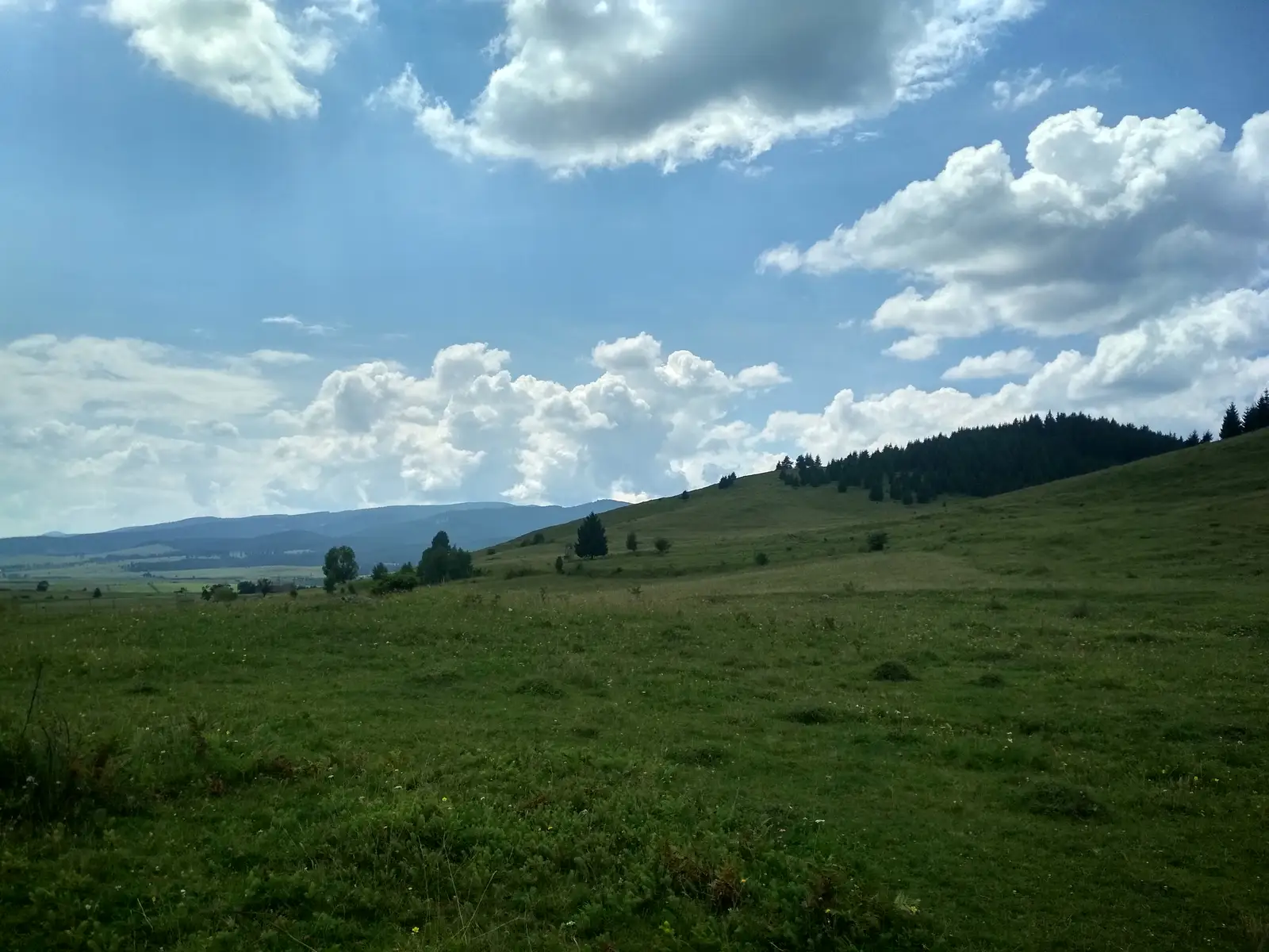 sat Jigodin-Băi - Coasta Mocirla Agrişului - sat Sântimbru-Băi