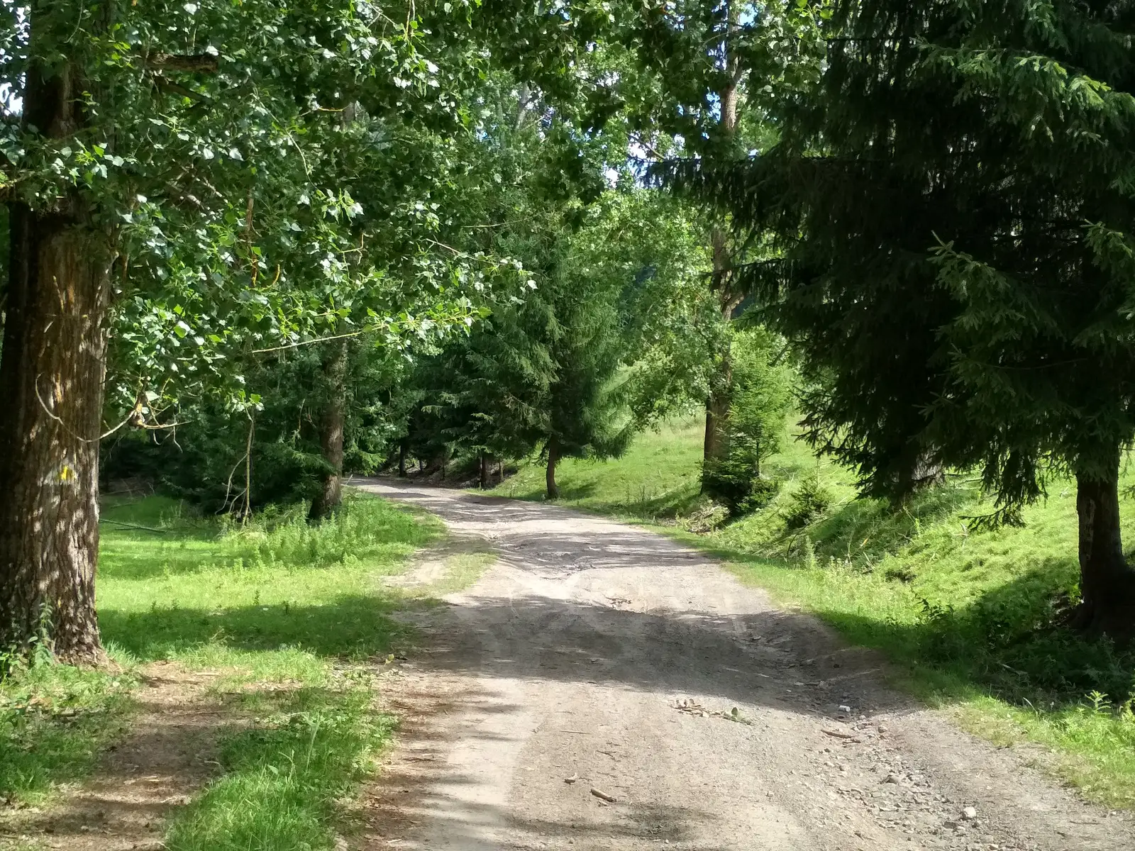 DN 12 (nord de oraşul Băile Tuşnad) - Tinovul Mohos - Cabana Lacul Sfânta Ana