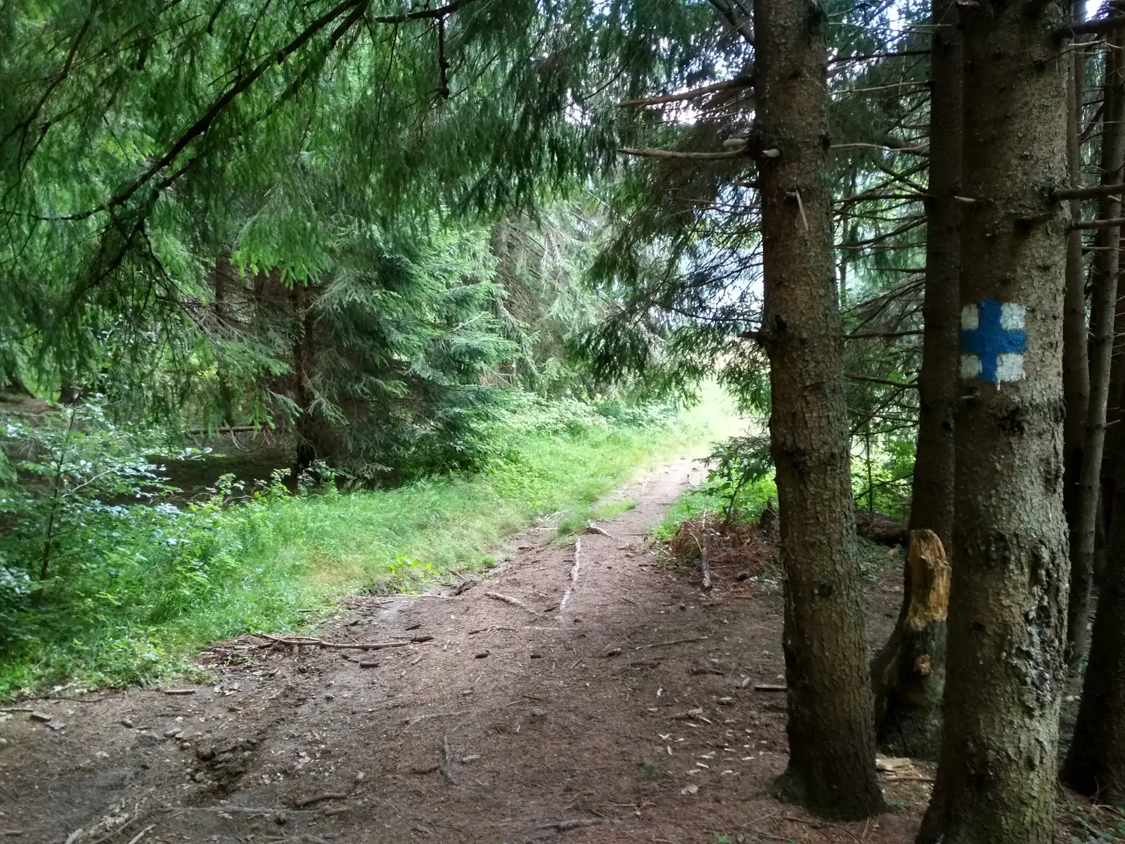 sat Carpituş - Lacul Sfânta Ana - Cabana Lacul Sfânta Ana