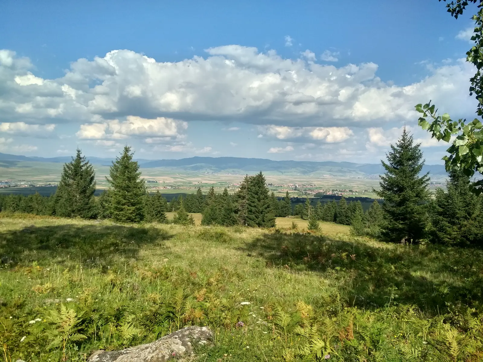 sat Biborţeni - sub Vf. Muntele Cucu - sat Jigodin-Băi