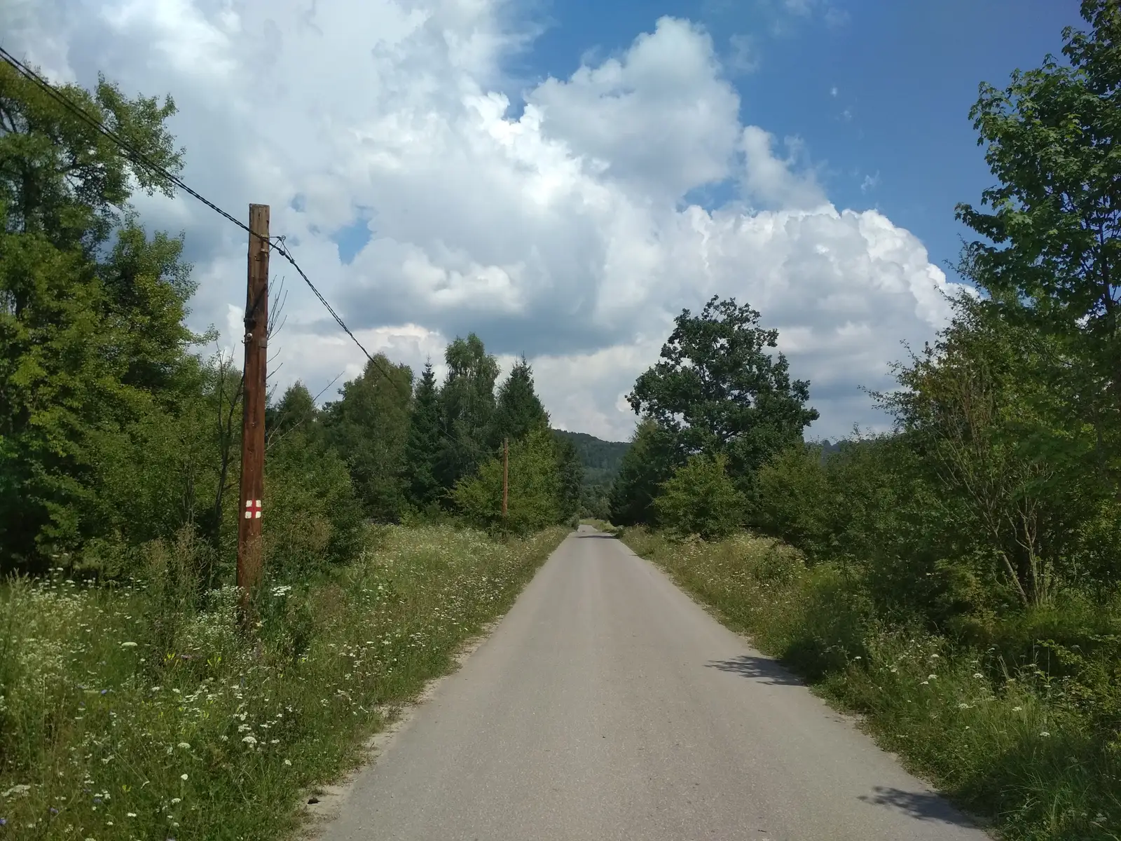 sud de Cheile Vârghişului - Valea Fierarul - intersecţie traseul BA