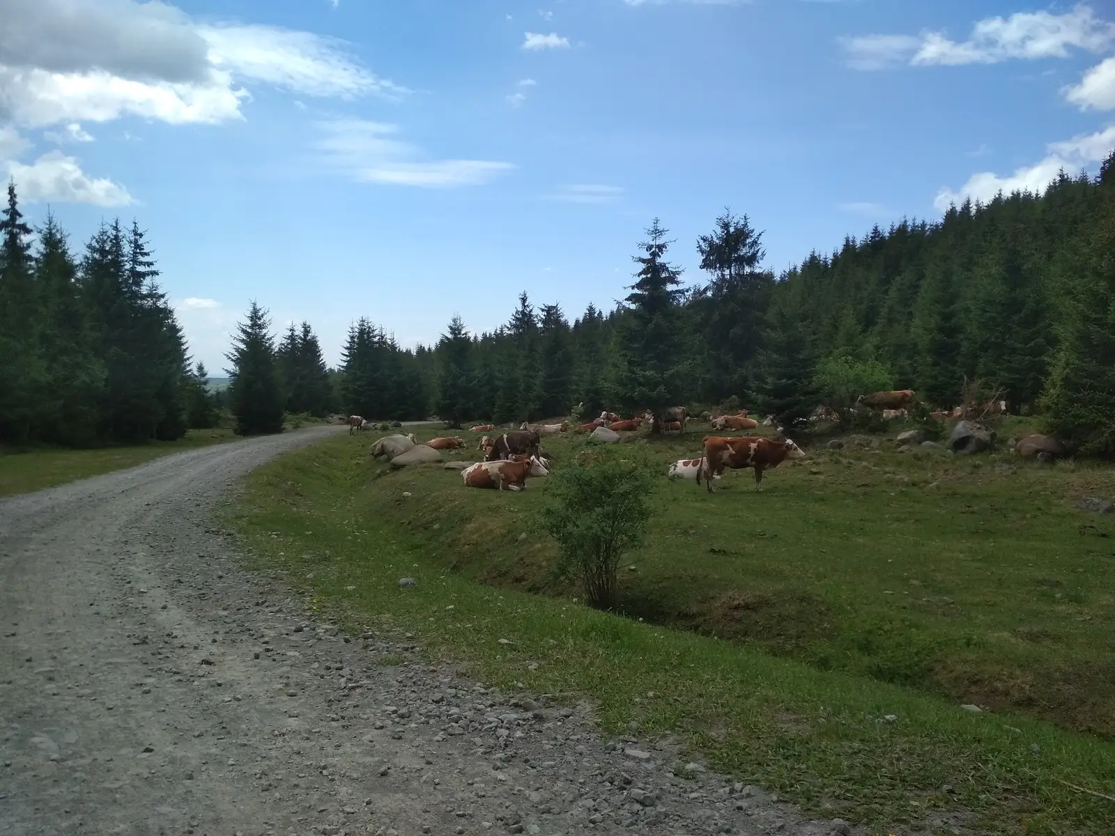 oraş Vlăhiţa - sub Pintenul Negru - Staţiunea Harghita Mădăraş
