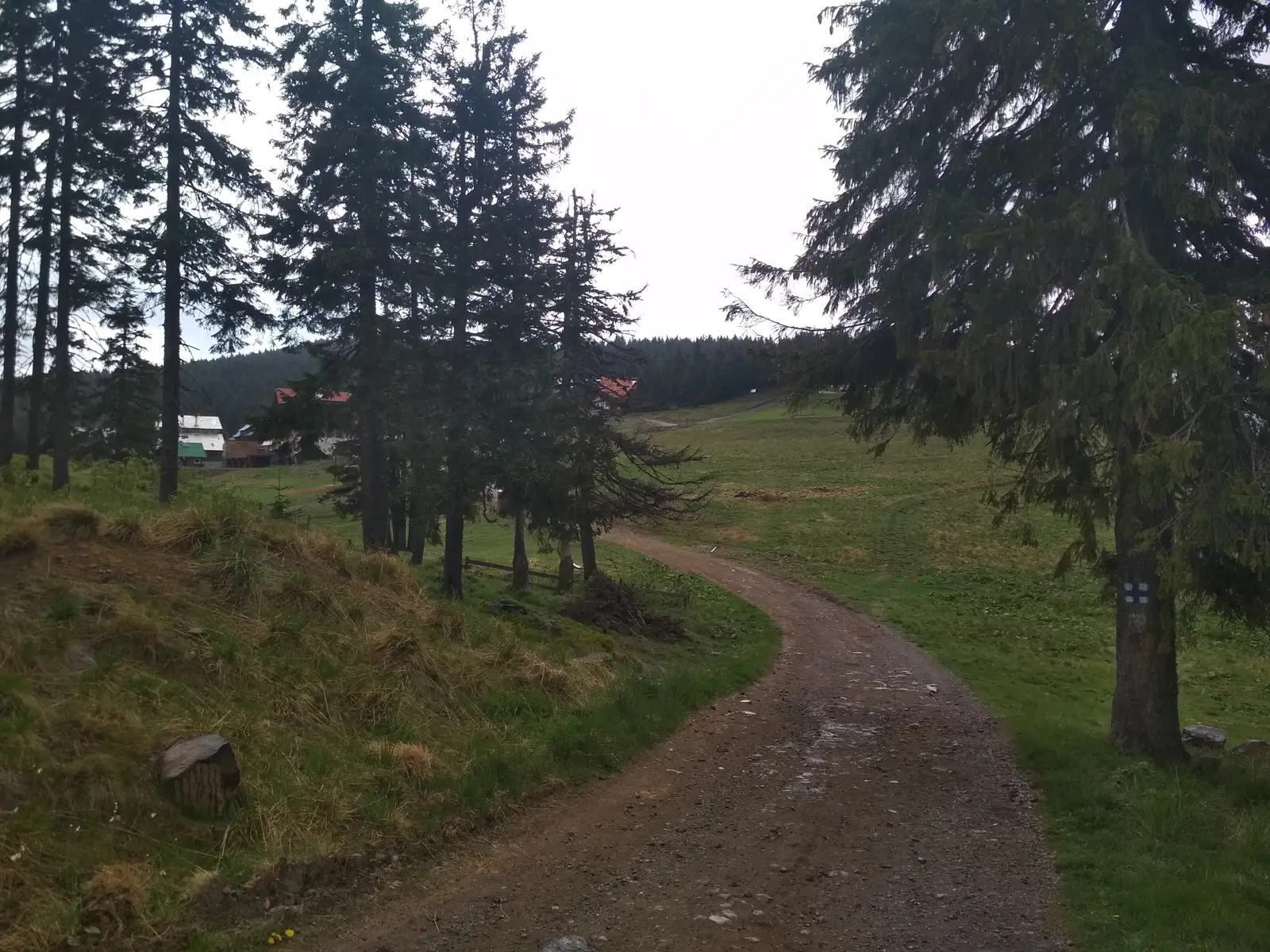 oraş Vlăhiţa - Vf. Muntele Ascuţit - Staţiunea Harghita Mădăraş