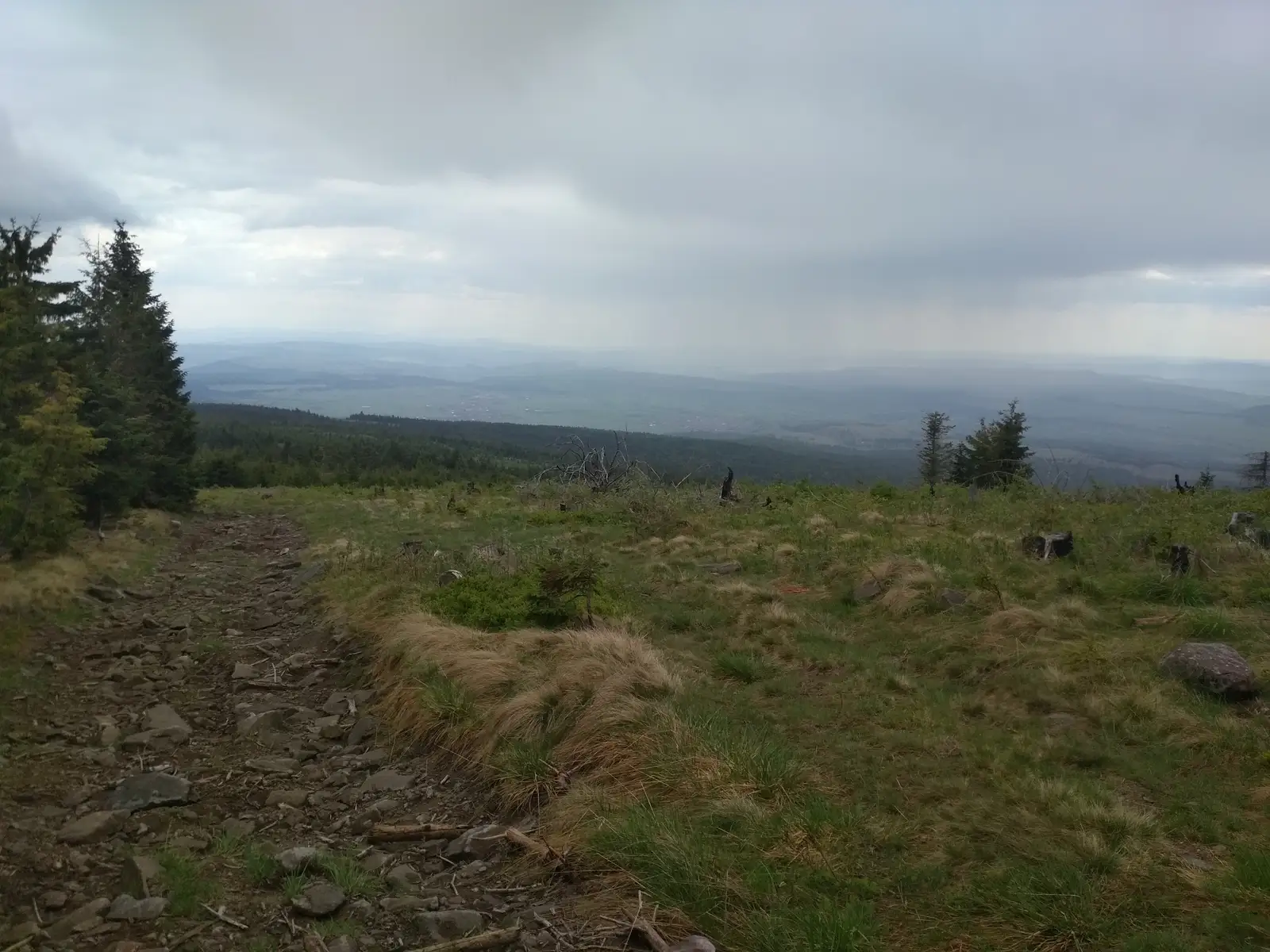 sat Căpâlniţa - Vf. Muntele Ascuţit - Staţiunea Harghita Mădăraş