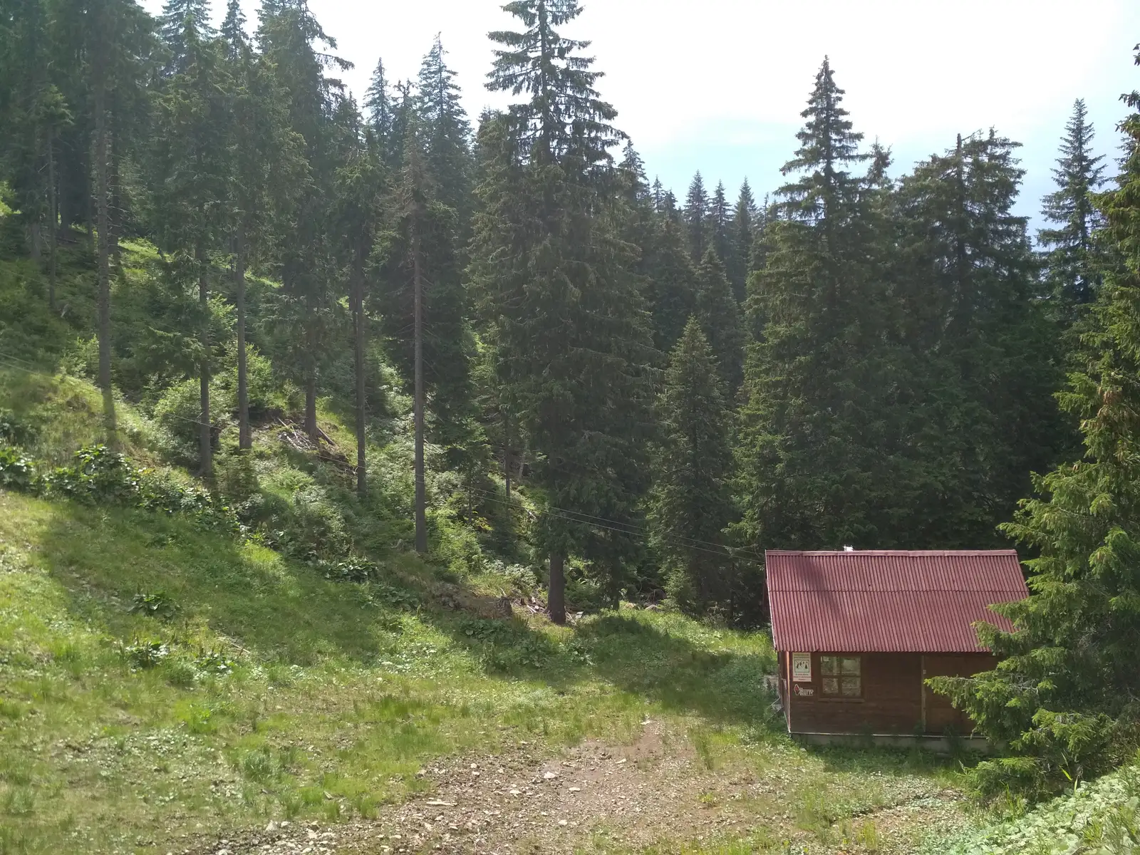 sat Izvoare - sub Dealul Sinol - Staţiunea Harghita Mădăraş