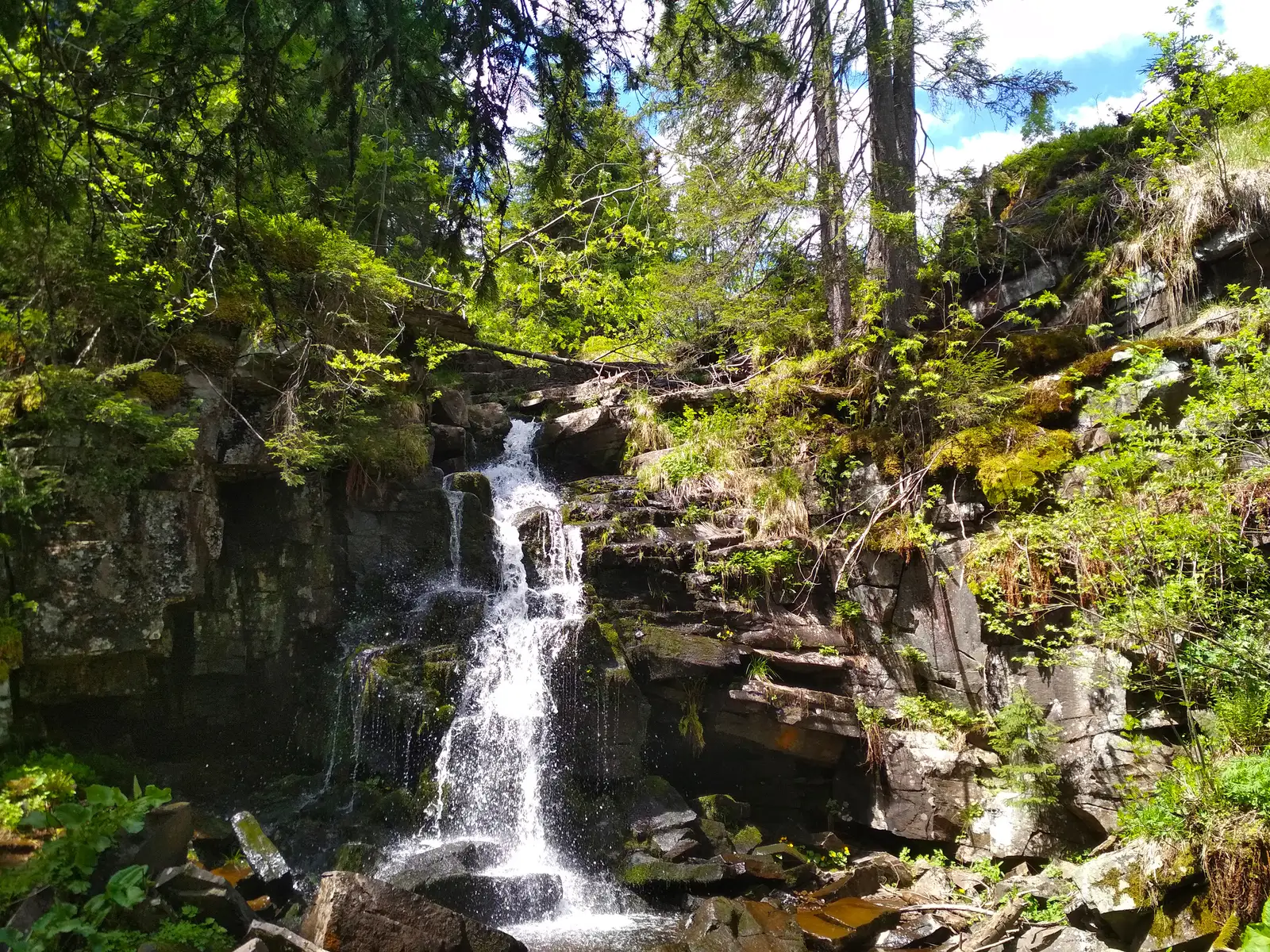 Cabana Harghita Mădăraş - Poiana Rákosi Sáté (Sed) - Cascada Săritoarea