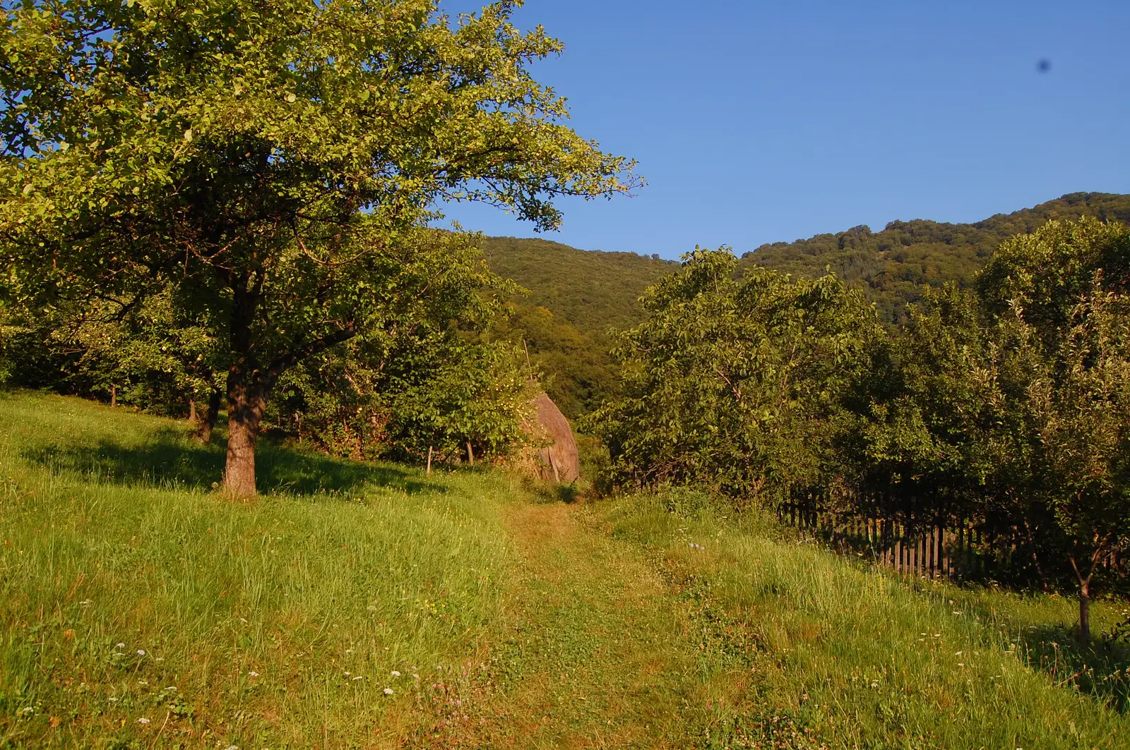 Căpâlna - Cetatea Căpâlna