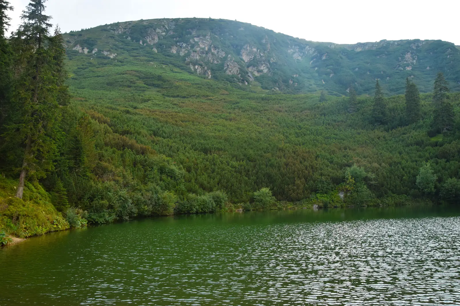 Mănăstirea Oaşa - Luncile Prigoanei - Cabana Şureanu