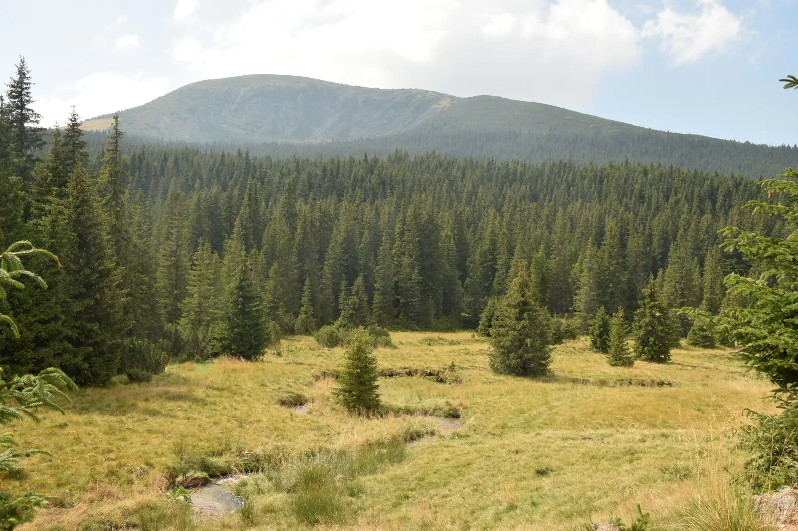 Poarta Raiului - Prisaca - Poarta Raiului