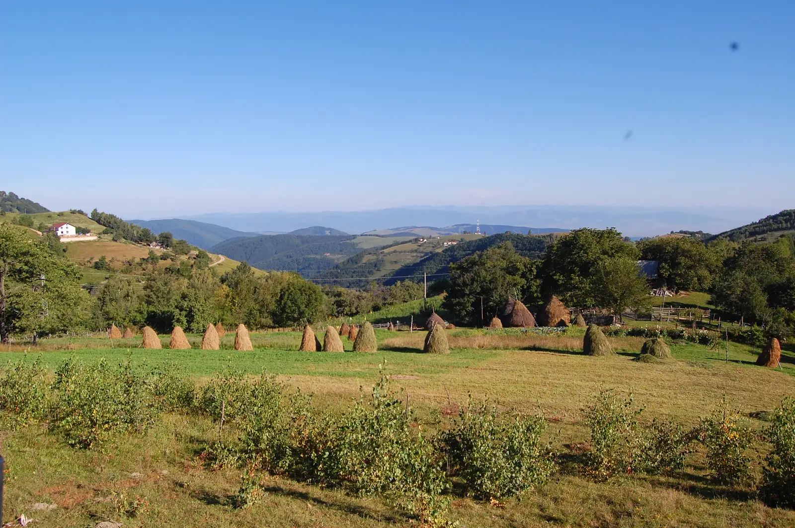 Săsciori - Curmături - Cabana Şureanu