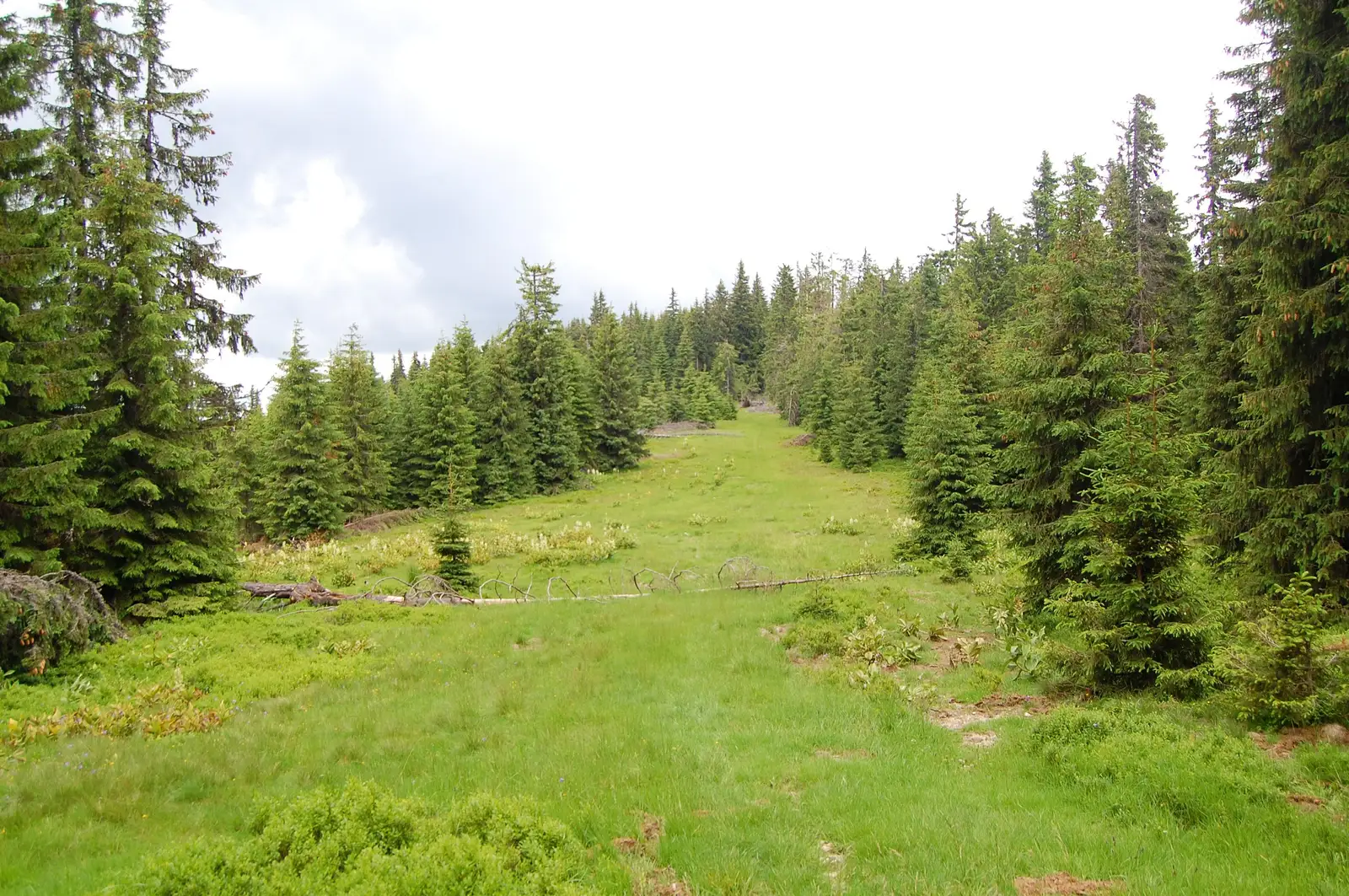 (Munţii Parâng) - Pasul Groapa Seacă - Gura Potecului - Cabana Şureanu