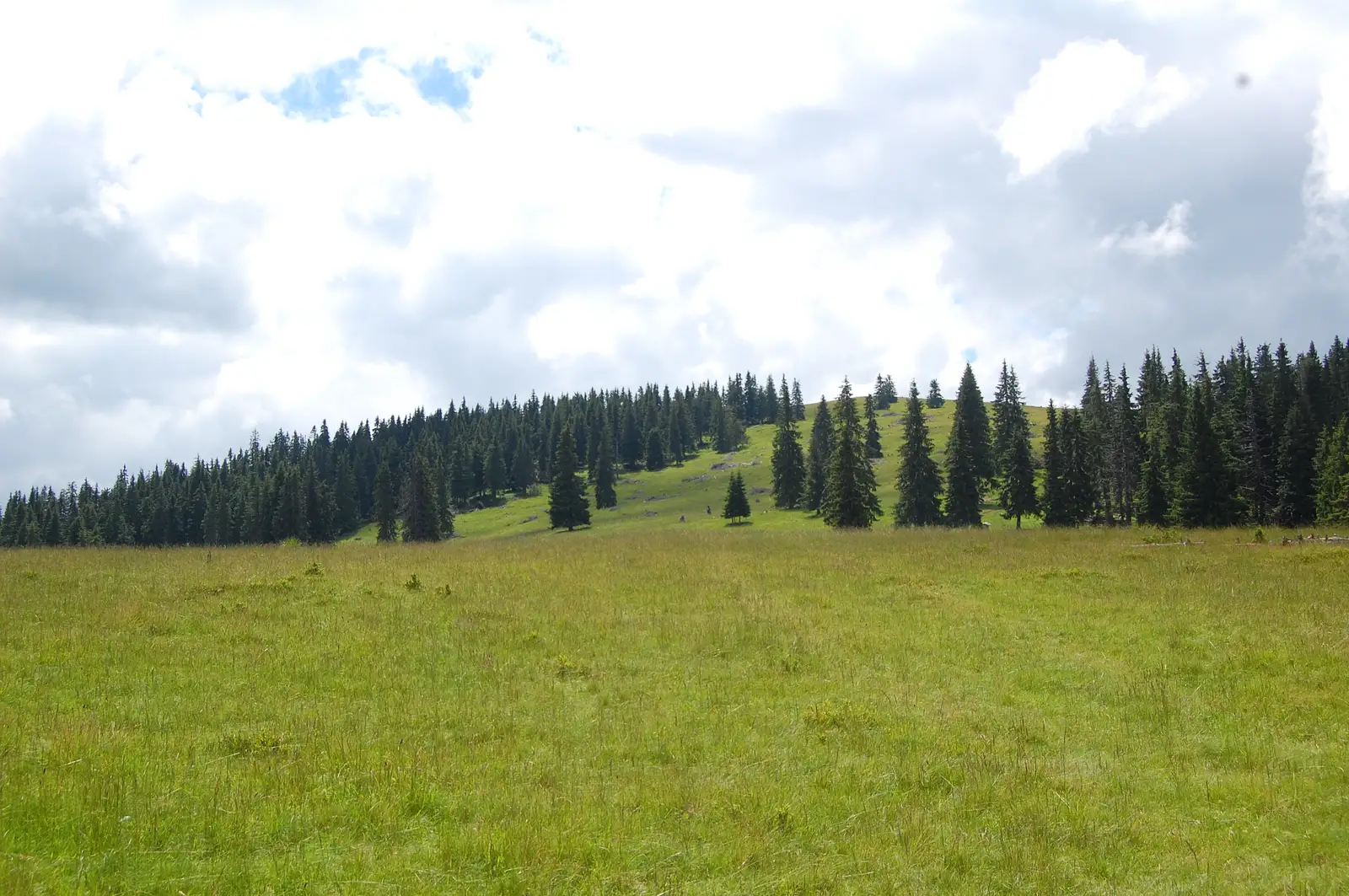 Fosta cabană Voievodul - Poiana Muierii - Cabana Obârşia Lotrului
