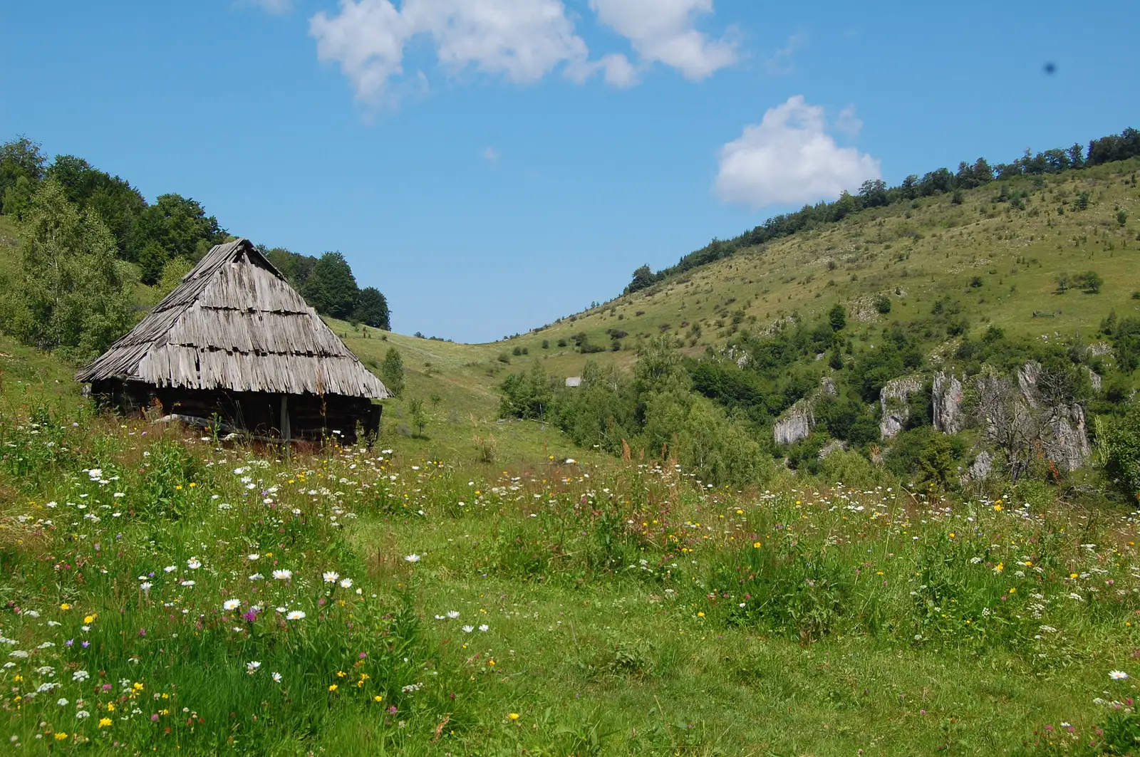 Federi - Fundătura Ponorului