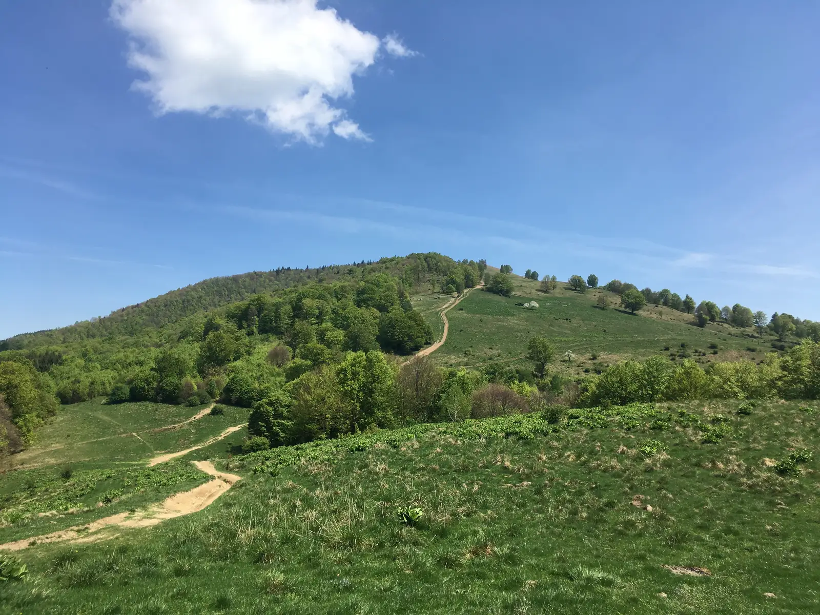 Ciupari - Curmătura Măgurii - Ciupari