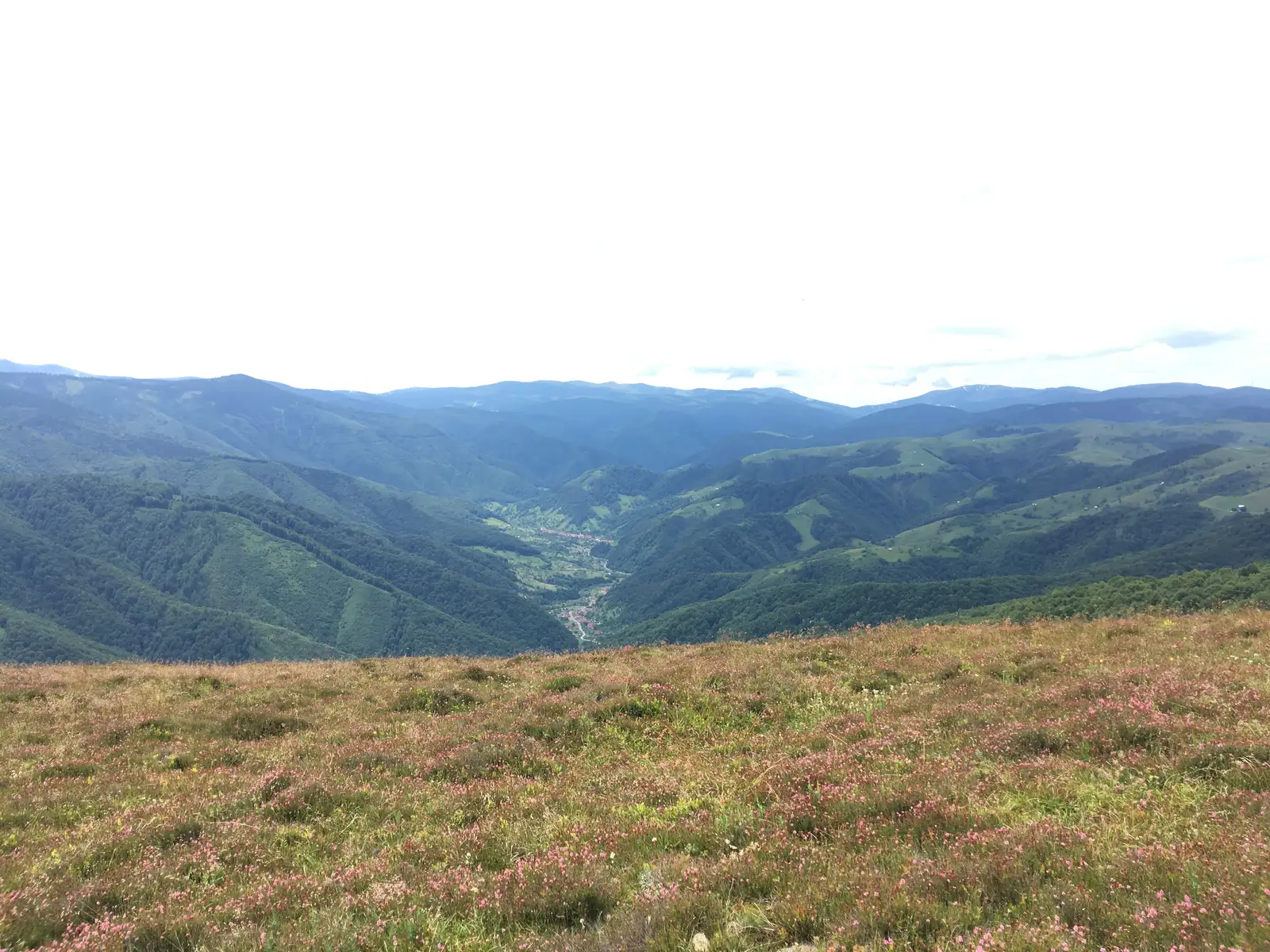 Valea Morii - Vârful Măgura