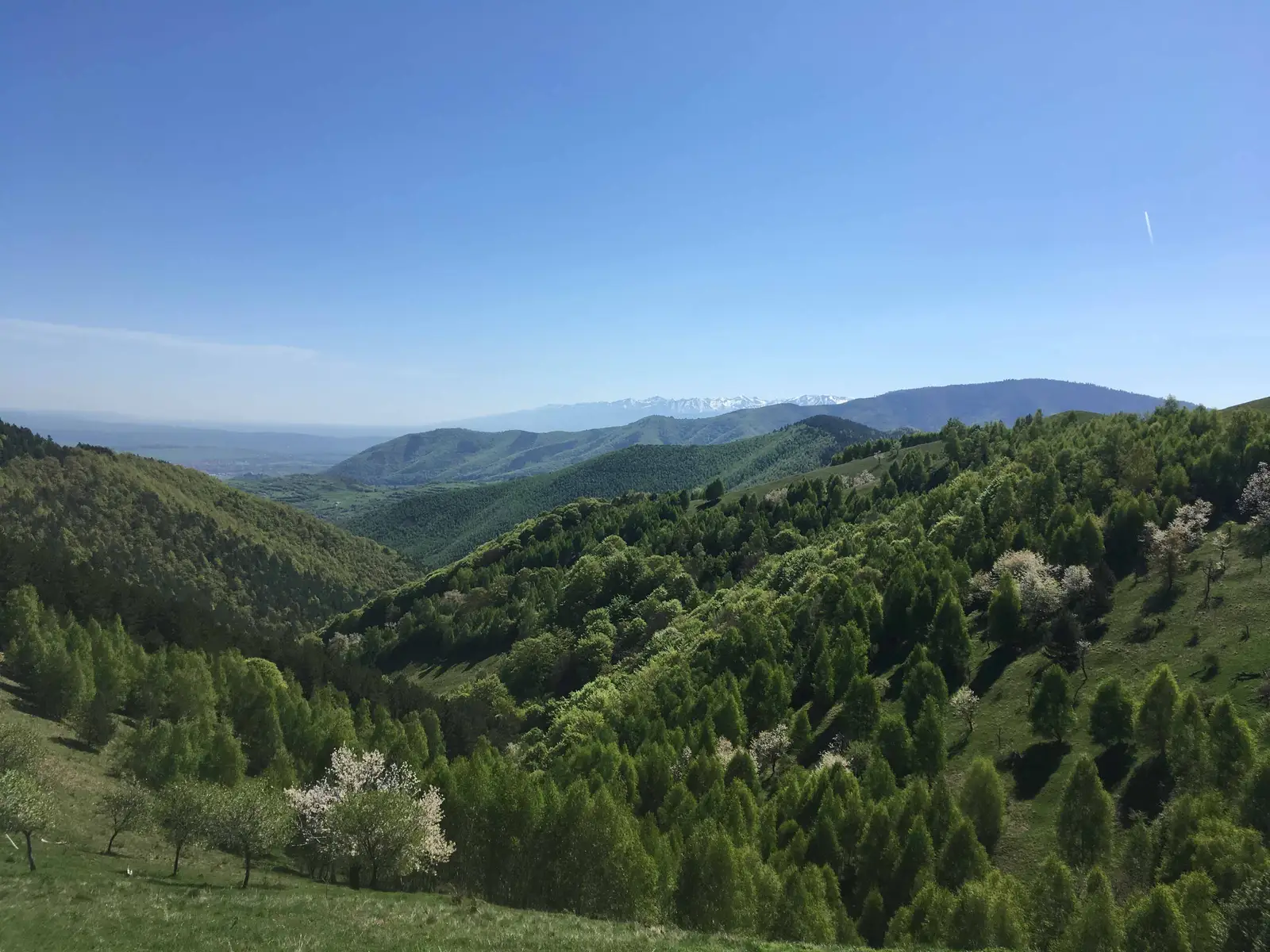 sat Răşinari - Şaua Apa Cumpănită - Şanta (Staţiunea Păltiniş)