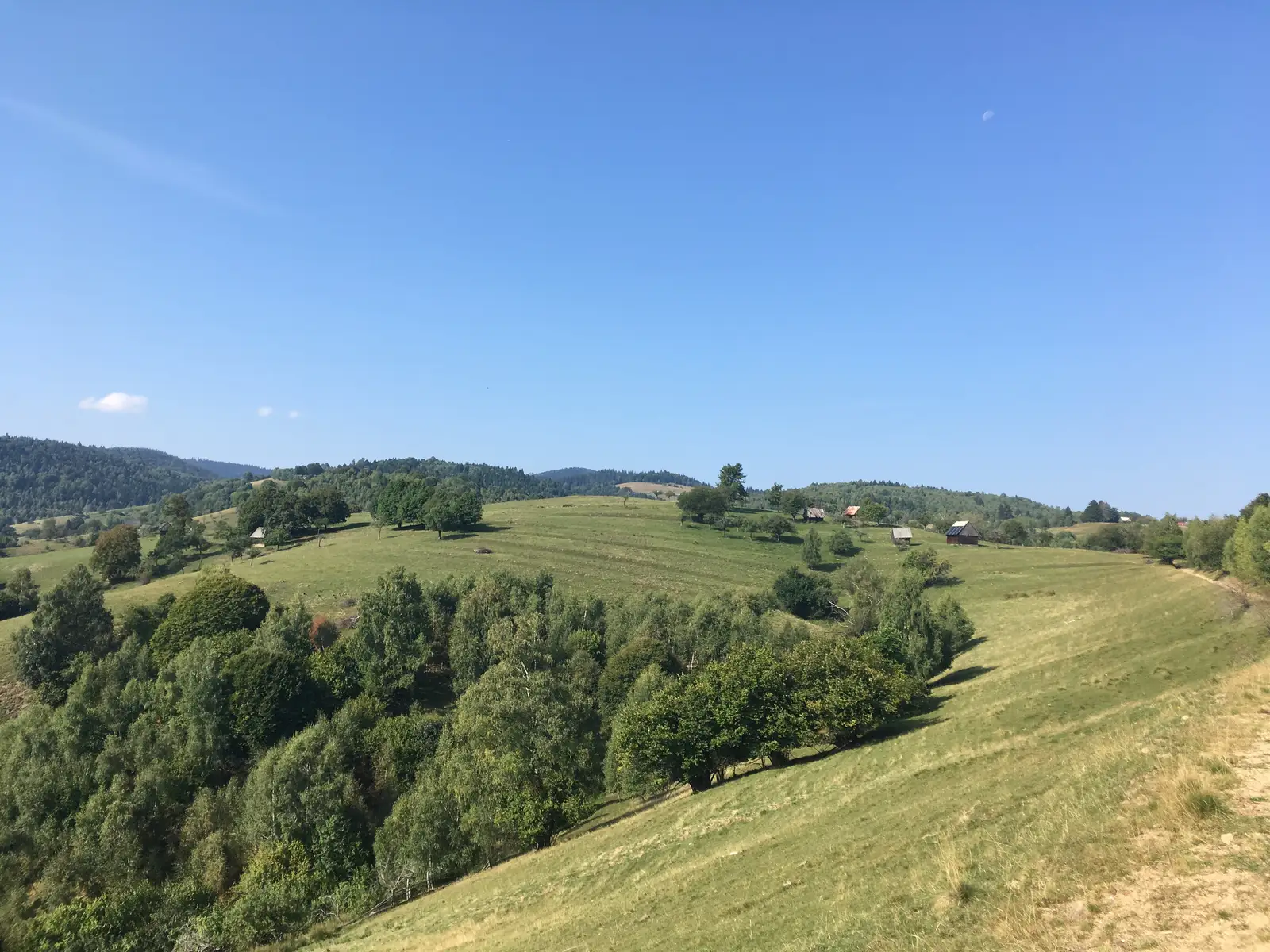 Halta CFR Sibiel - Fosta Cabană Fântânele - La Pripoane