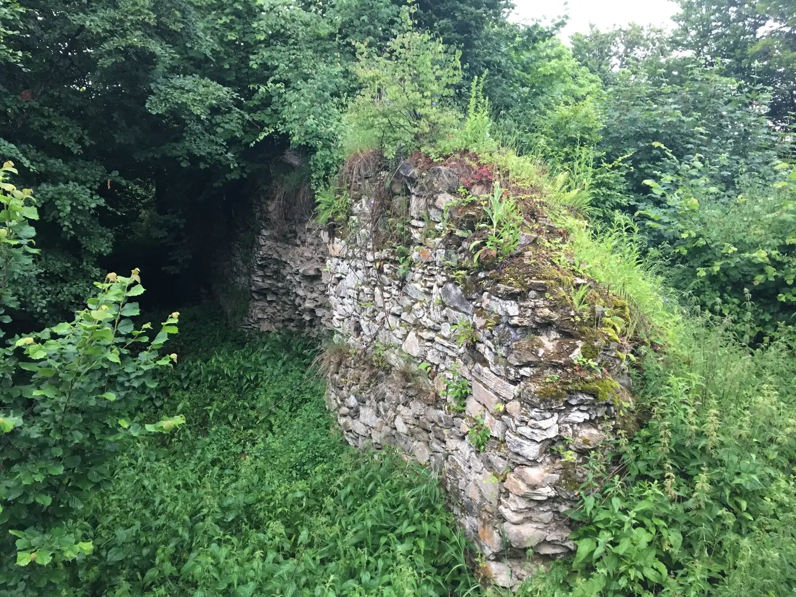 sat Sibiel - Valea Cetăţii - Vârful Cetăţii