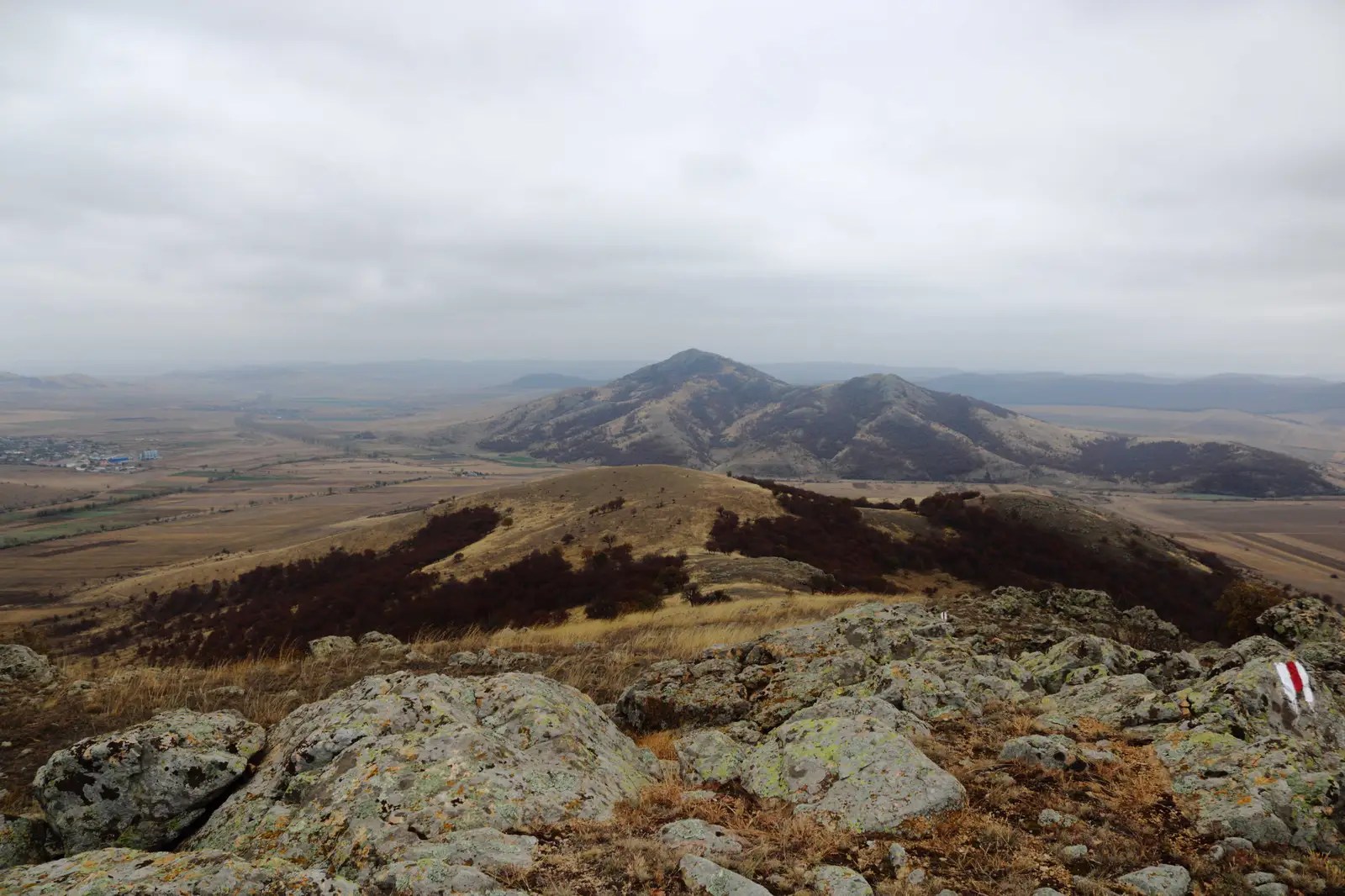 DJ 229 - Dealul Consul - Floreşti