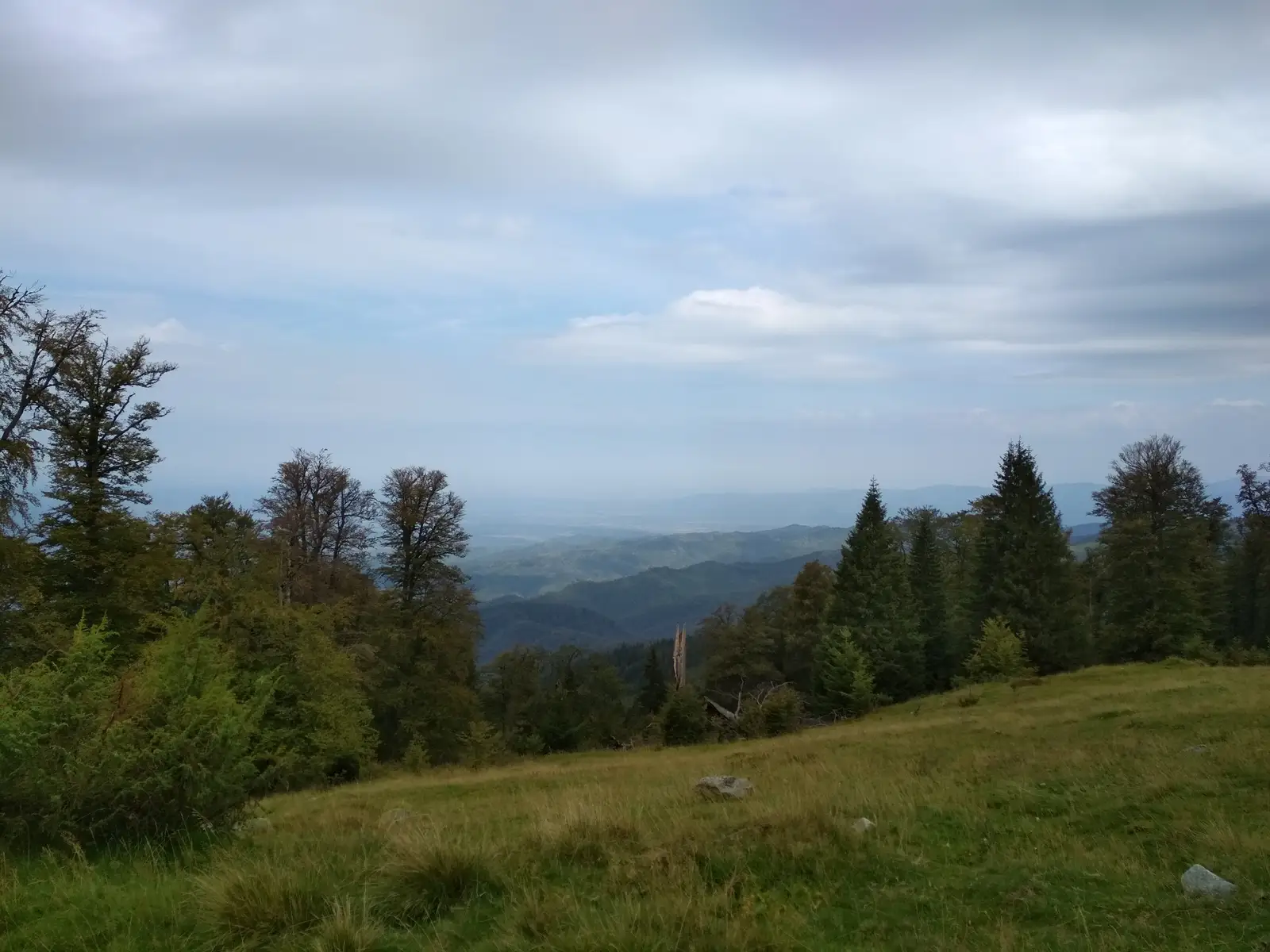 Borlova - Fântâna Voinii - Complexul Turistic Muntele Mic