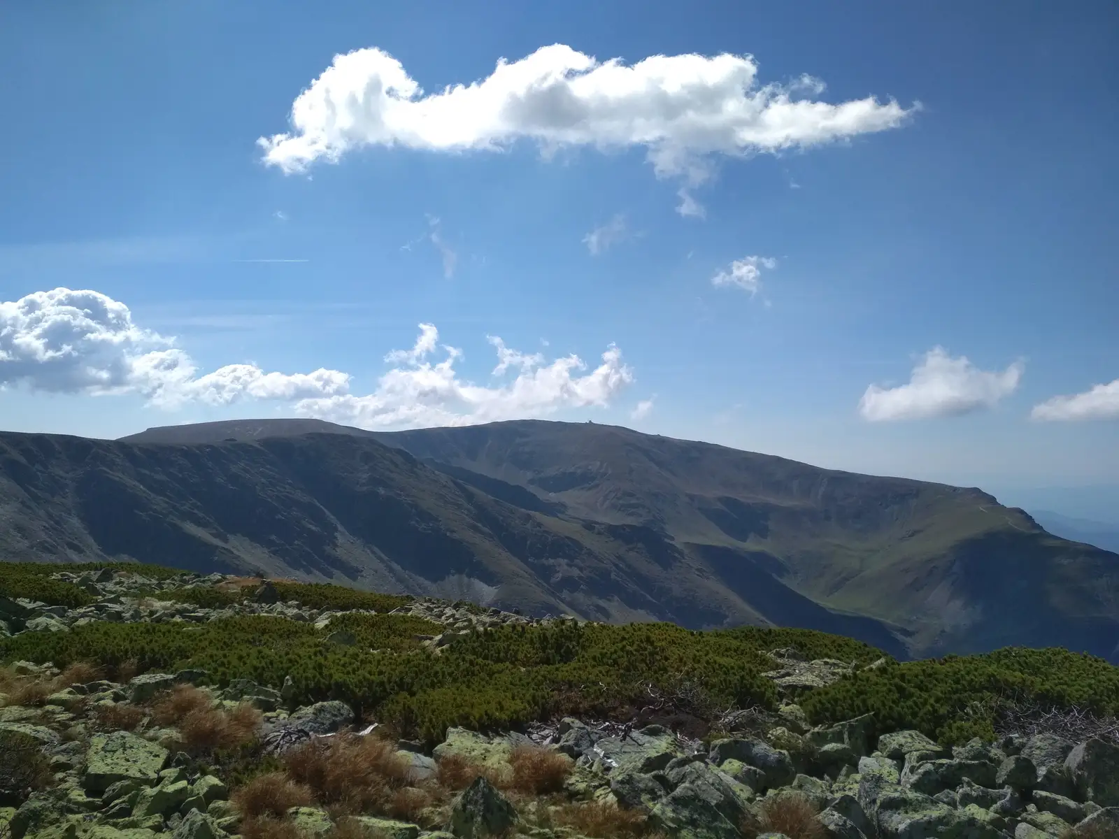 Poiana Mărului - Vârful Căleanu - Şaua Plaiului