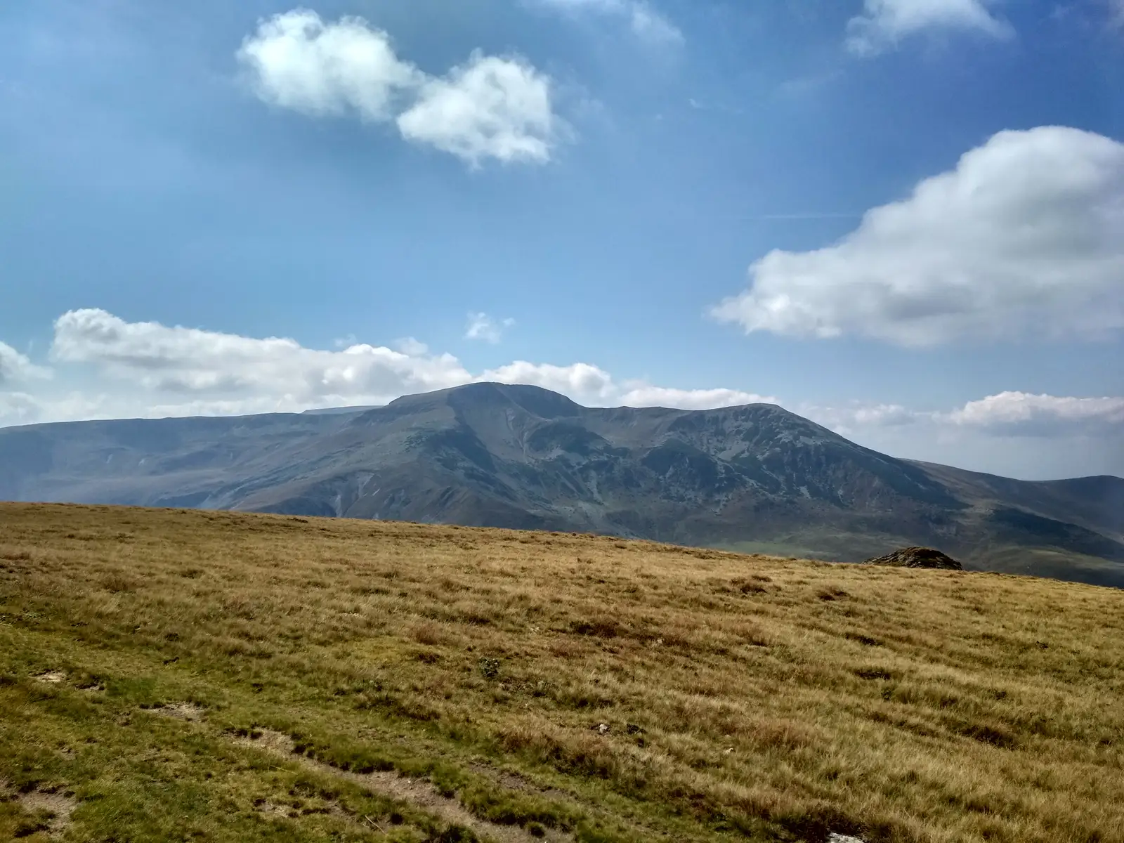 Poiana Mărului - Vf. Poiana Nedeii - Vf. Nedeia