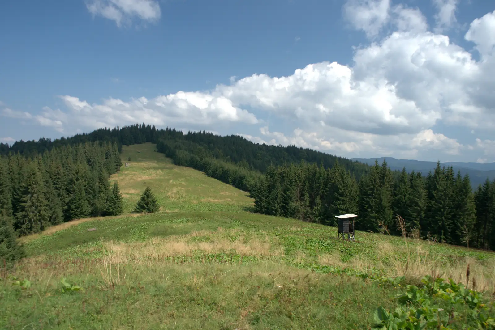 Pasul Dălghiu (DJ 103A) – Vârful Brusturos –  pasul dintre Covasna şi Comandău (DC 14)