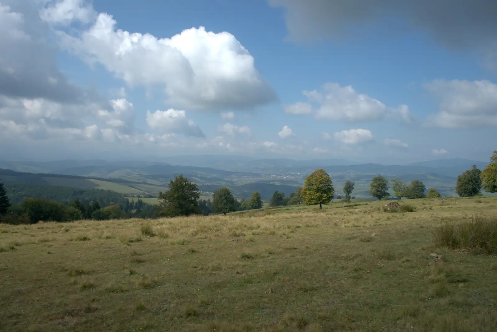 Barcani – Crucea Toader Bocârnea – intersecţia cu creasta principală (traseul BR) 