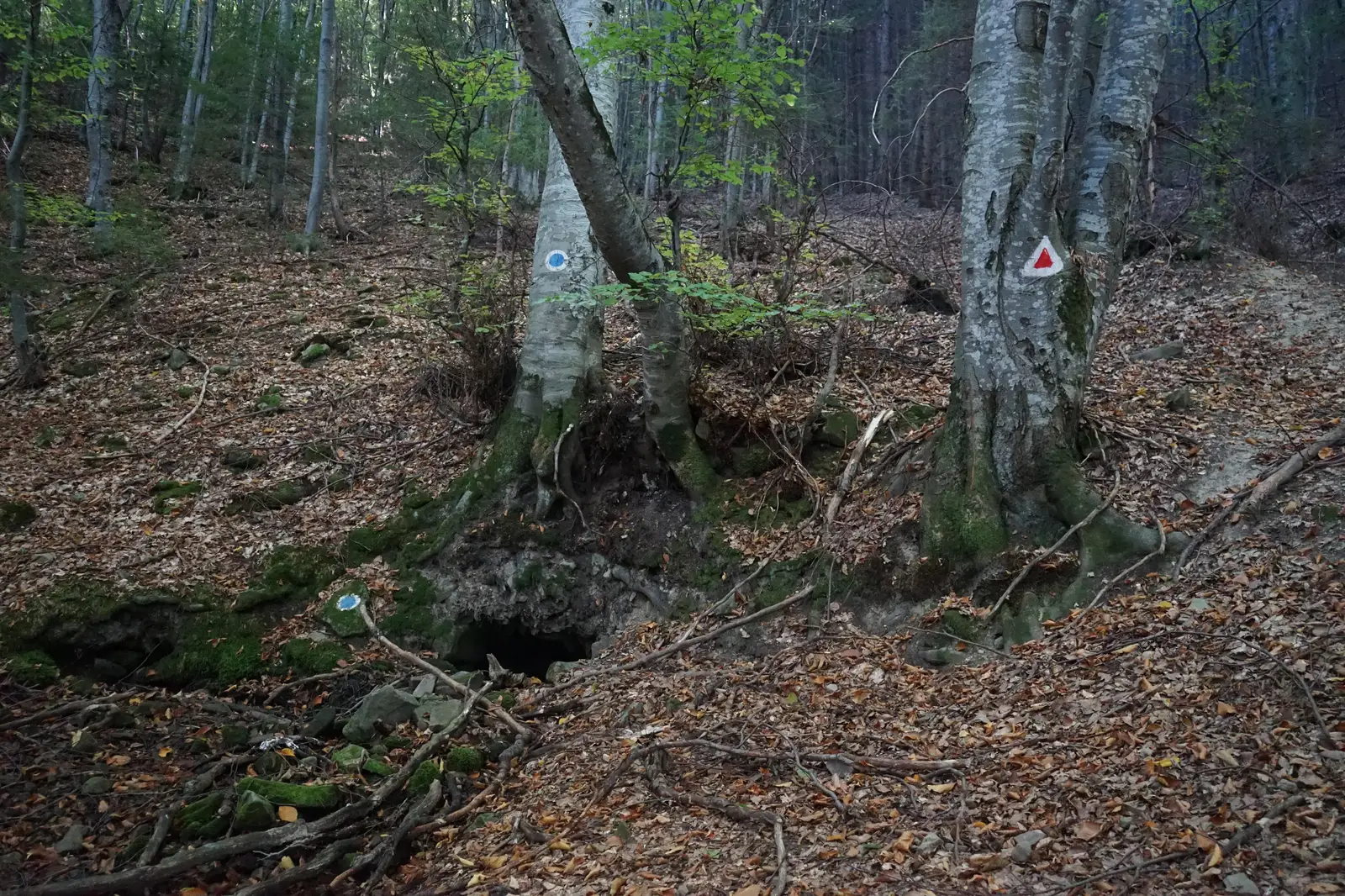 Bicfalău (Pensiunea Mókus) – Ruinele Cetăţii Melcului (Csiga) – Dealul Hebea