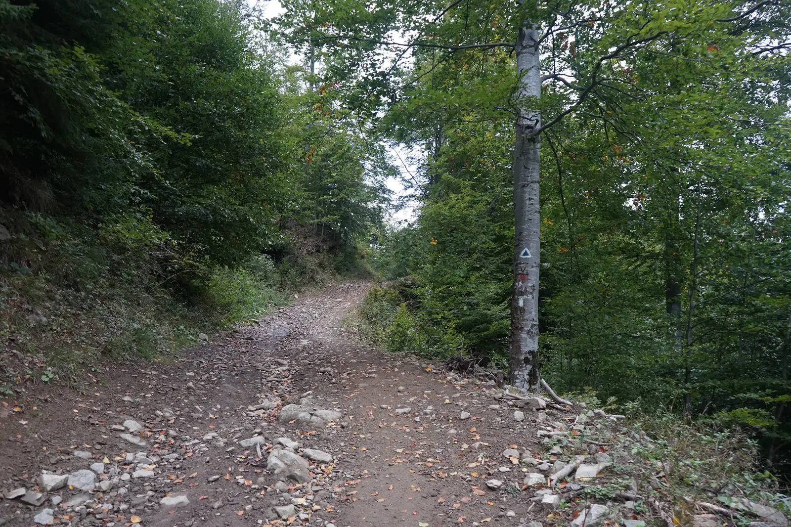 Crasna – Valea Urlătoarea – Poarta Vânturilor