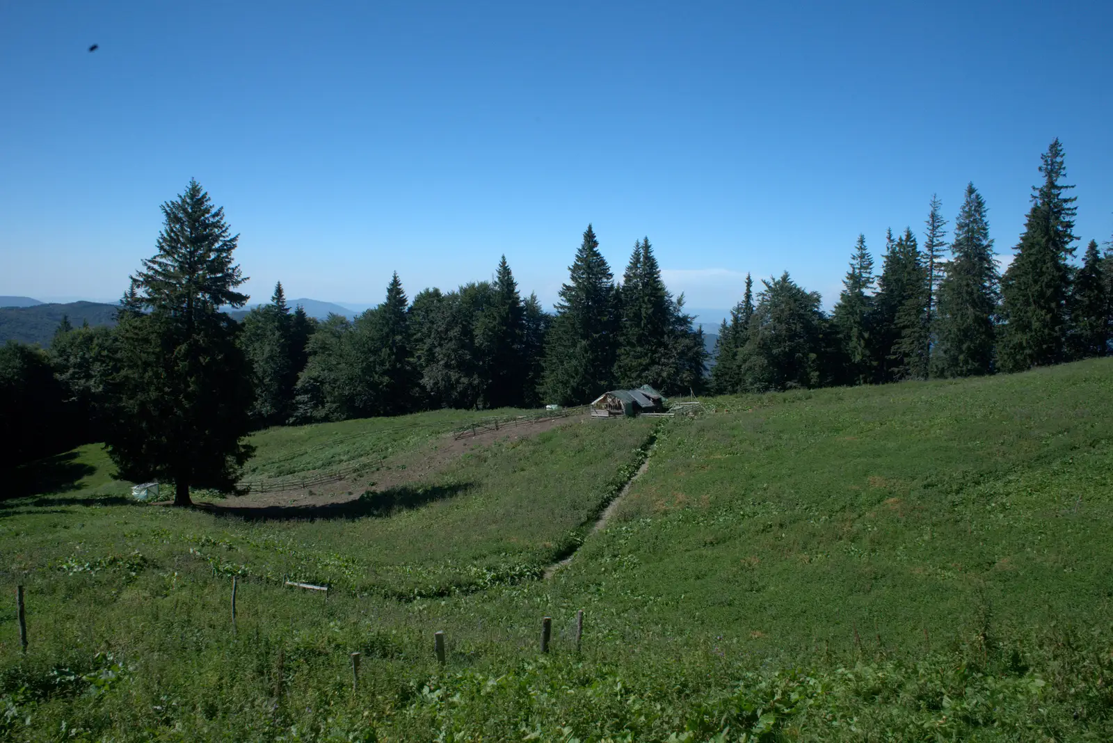 Cabana Valea Neagră – Culmea Tătăruţ – Tabla Buţii