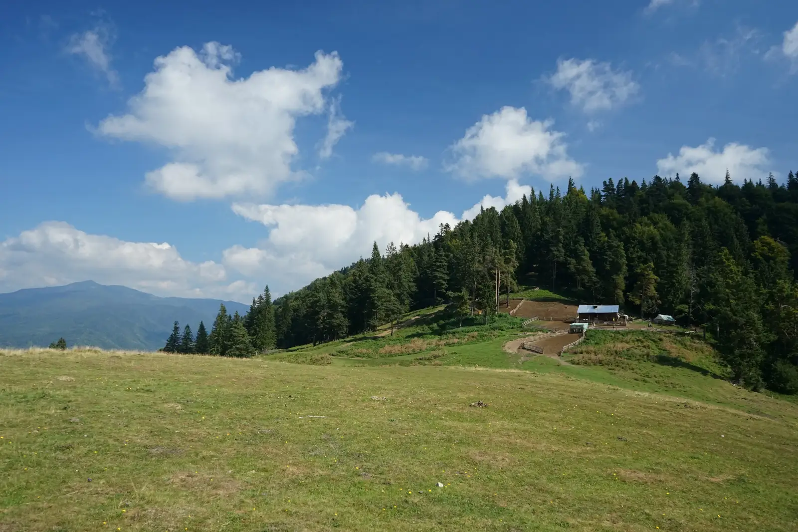 Gura Teghii – Vârful Podul Calului – şaua de sub Vf. Podu Calului