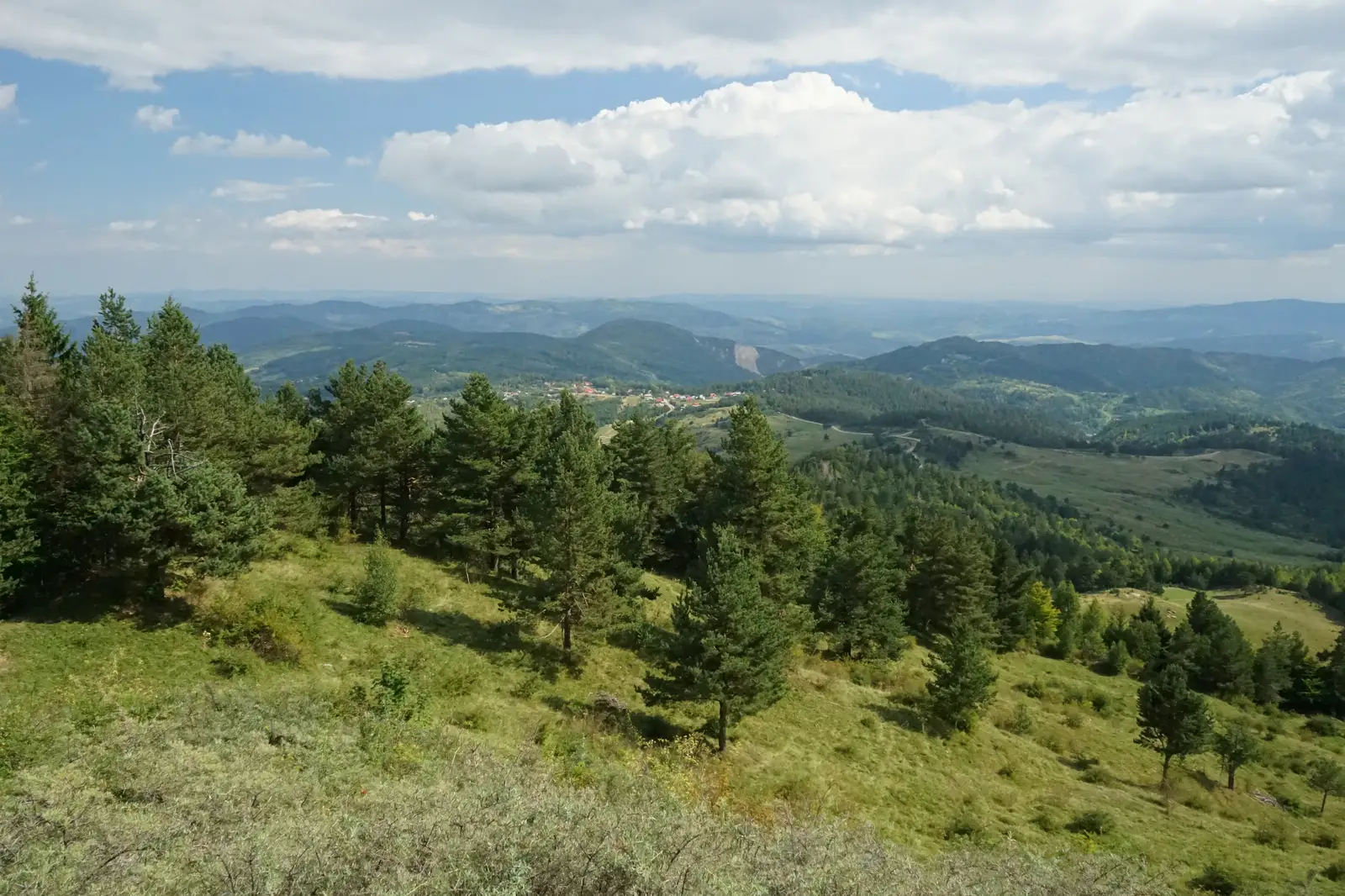 DJ 203K – Vârful Ivăneţu – DJ 203K