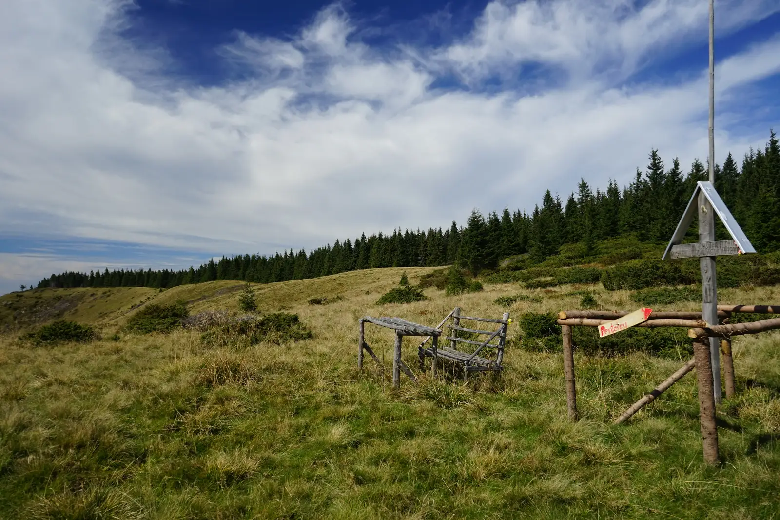 Şaua Bălescu – Fagul Alb – Pasul Holom (Deluşor)