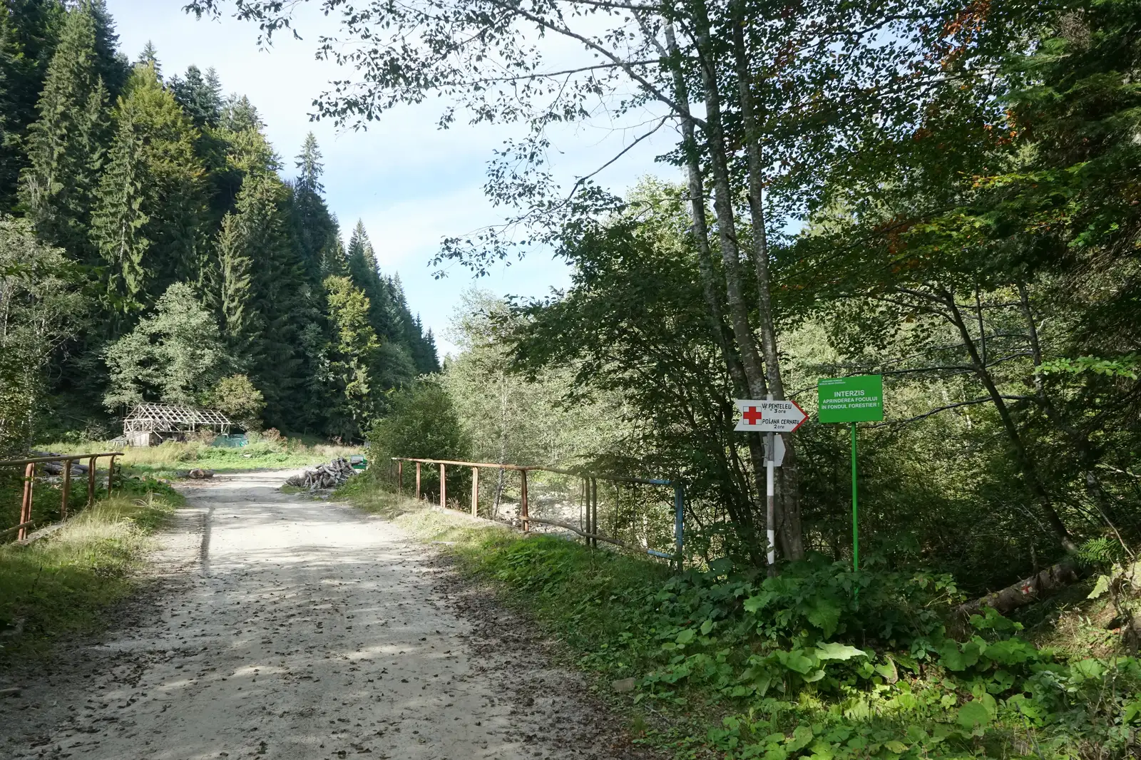 Valea Bâsculiţa – Poiana Cernatu – Vârful Penteleu