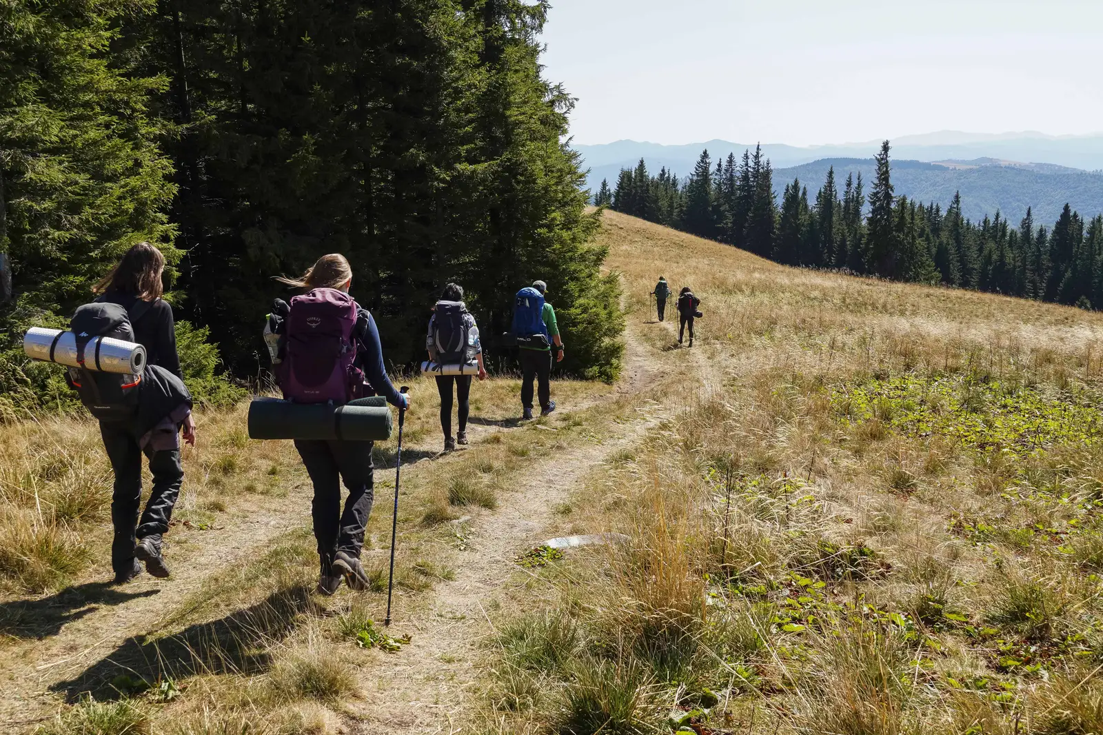 Slănic Moldova - sub Vf. Nemira Mare - Valea Uzului (Cascada Nasolea Mare)