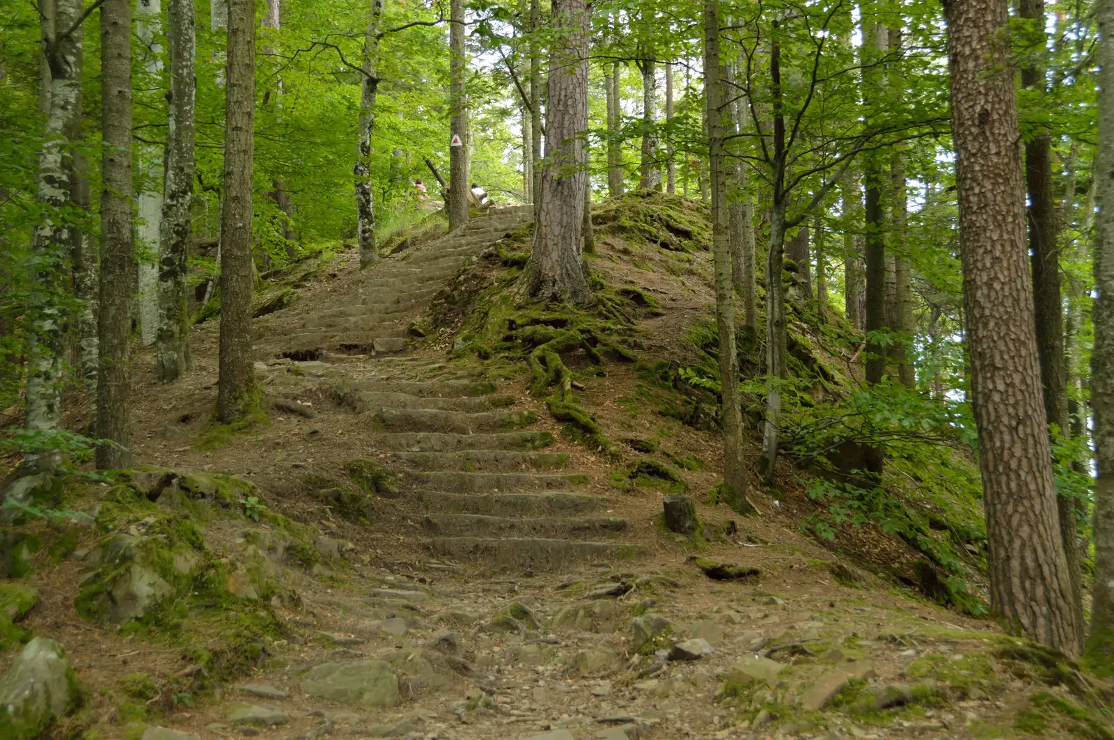 Slănic Moldova - Izvoarele Slănic Moldova - Slănic Moldova