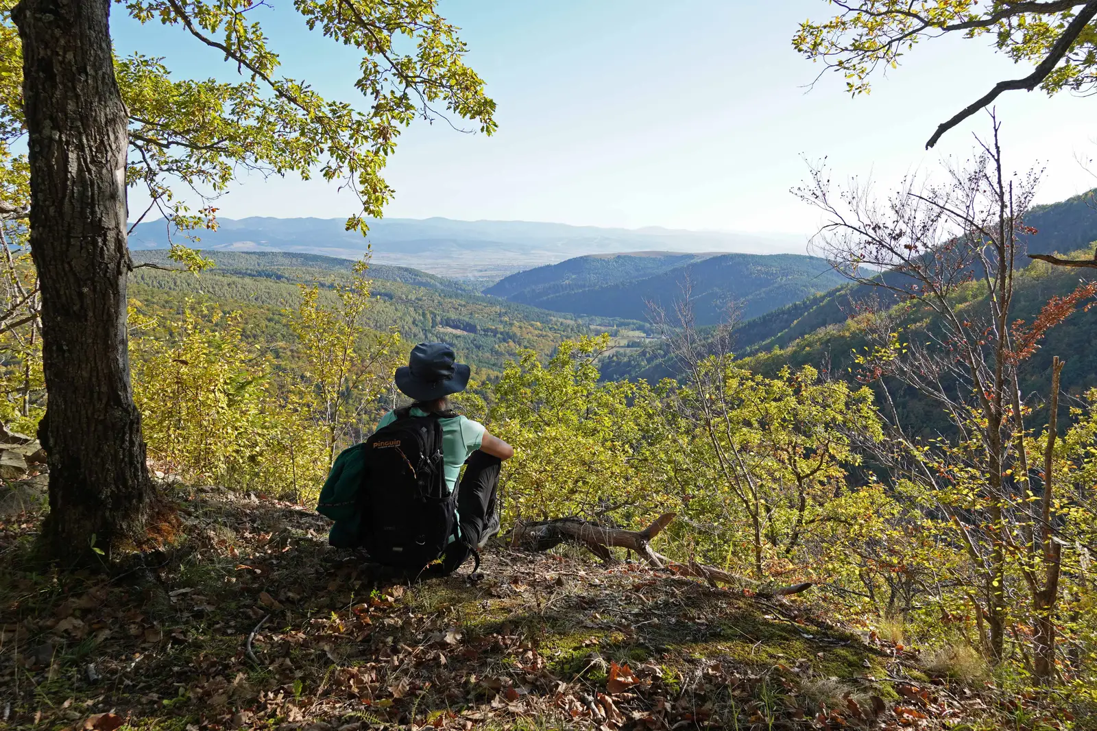 Lemnia de Sus - Cetatea Almás