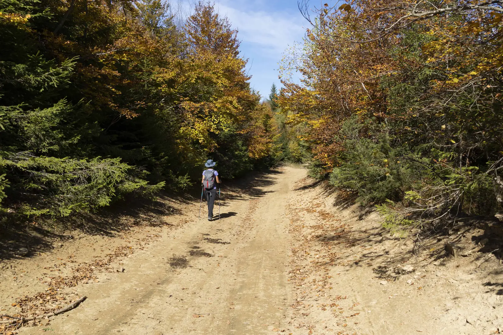 Halta CFR Belani - Obârșia Apa Lină - Vf. Șandru Mare