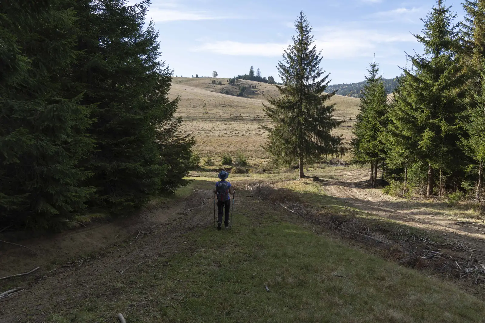 Cărpinenii - Șaua de sub Piatra Astag