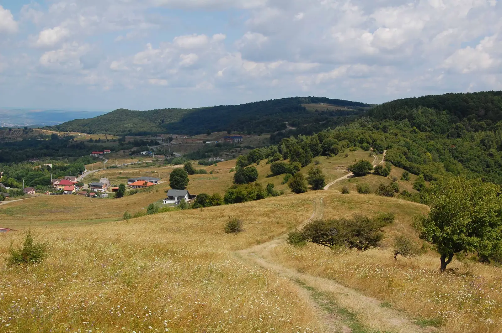 Fostul Camping Făget - Izvorul Dr. Bilașcu - Vf. Peana - Vf. Măgura