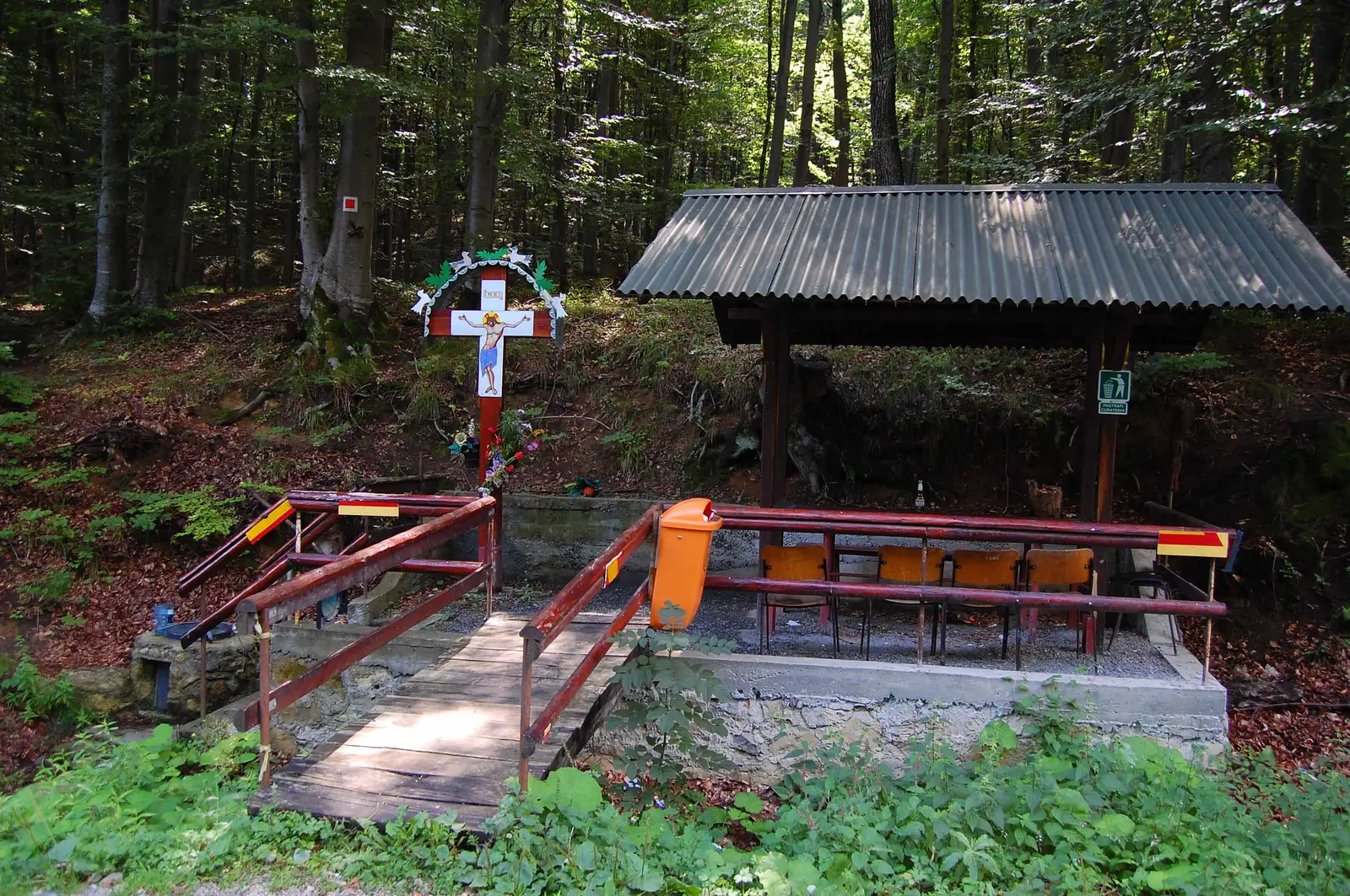 DJ 107R (Drumul Sf. Ioan) - DJ 107R (Drumul Sălicei) - Vf. Peana