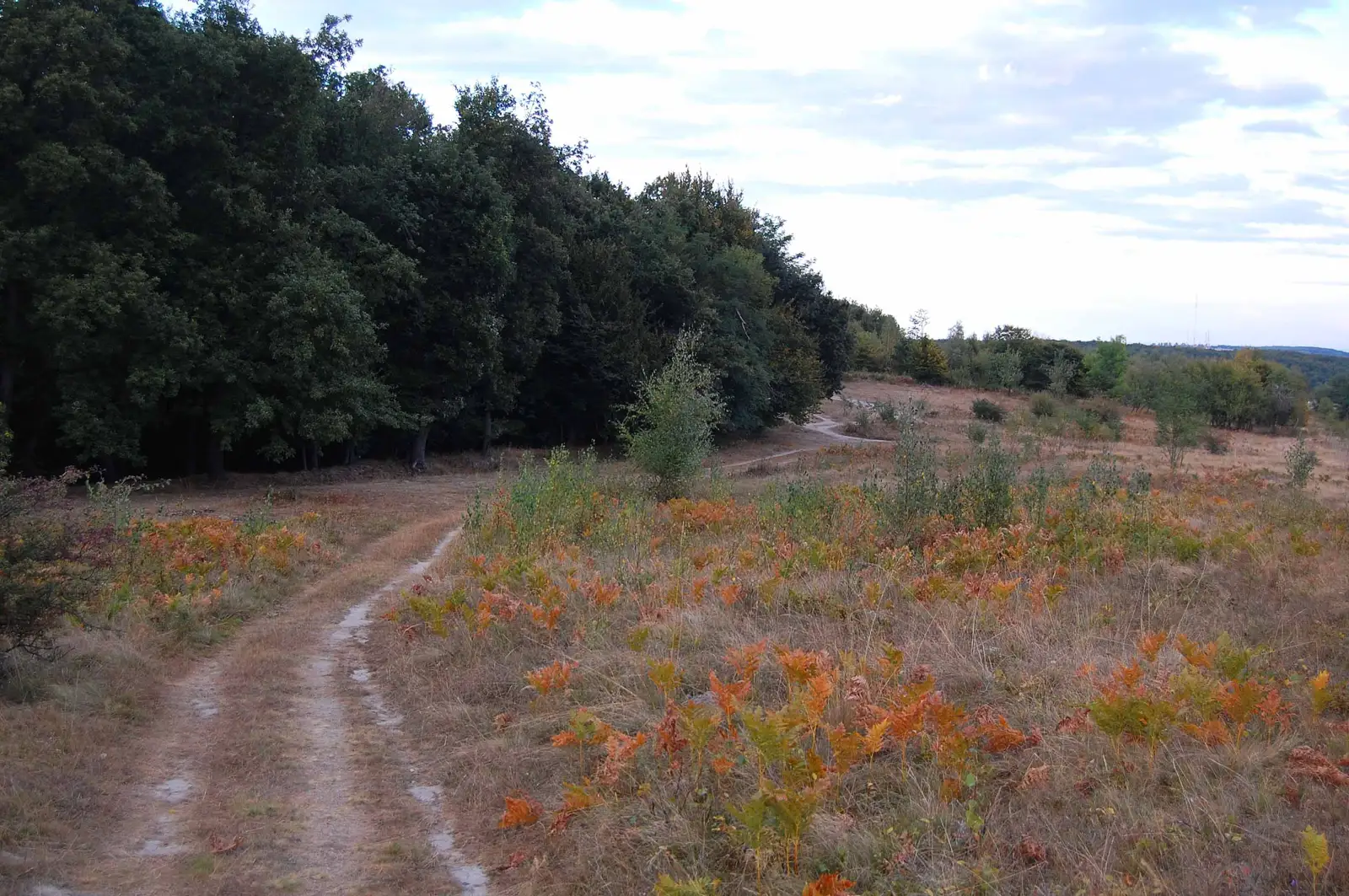 Casele Micești - fosta școală Casele Micești (RadioClub) - Vf. Peana