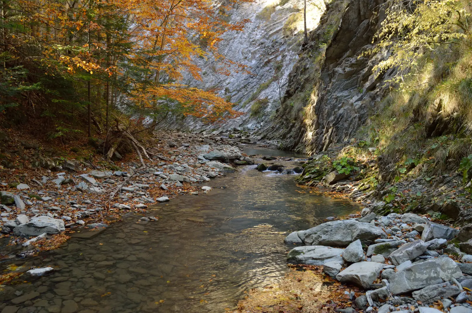 Lepşa - Cheile Tişiţei - Golul Roibului - Şaua Geamăna
