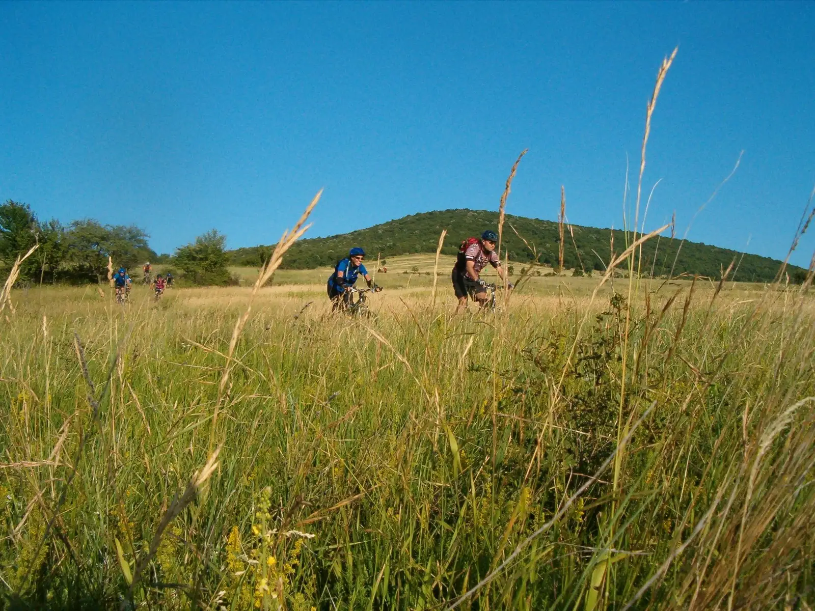 Anina - Crivina - Ilidia - Ciclova Montană - Anina