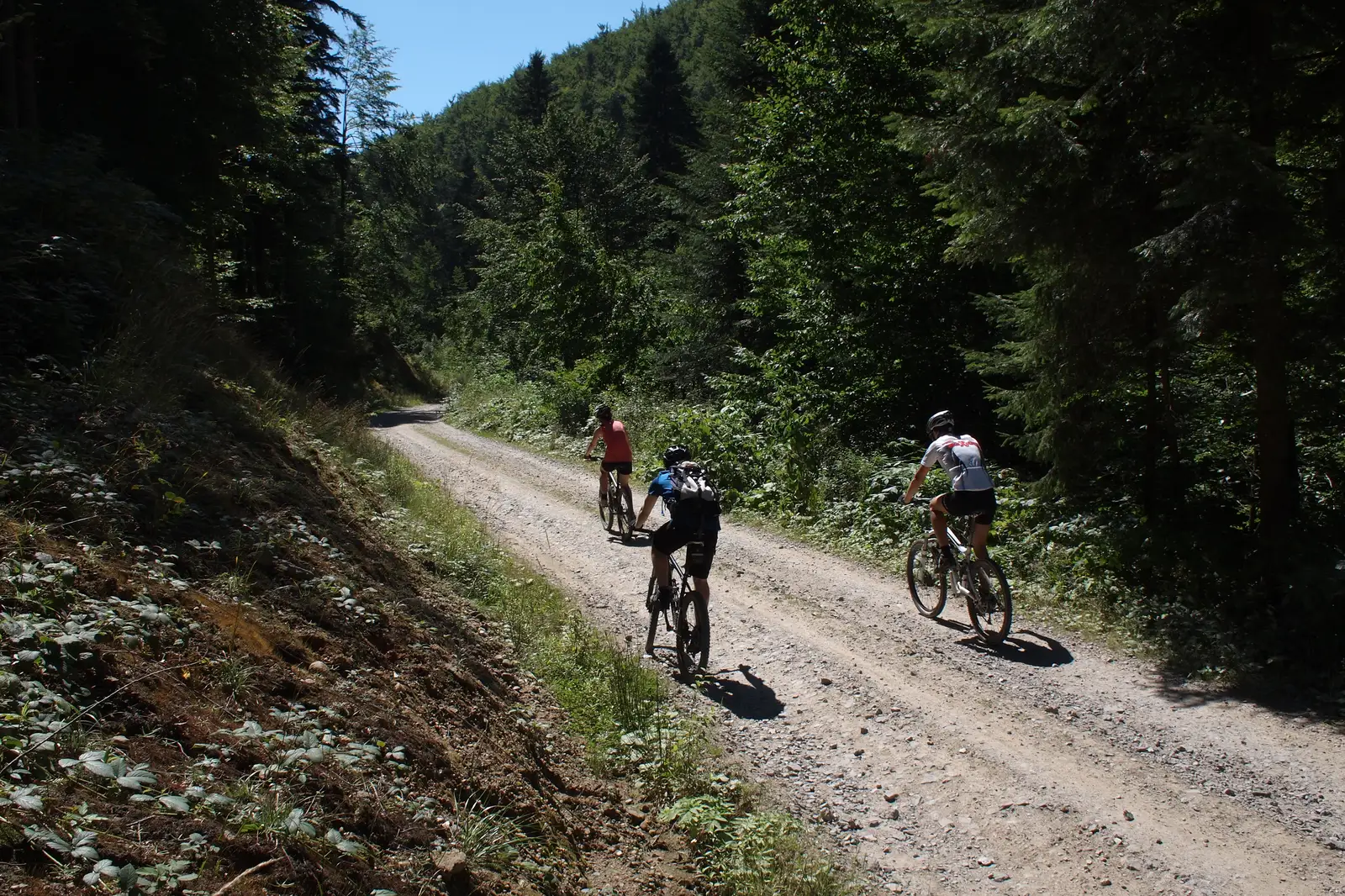 Lacul de Acumulare Gozna - Staţiunea Turistică Semenic - Gărîna - Lacul de Acumulare Gozna