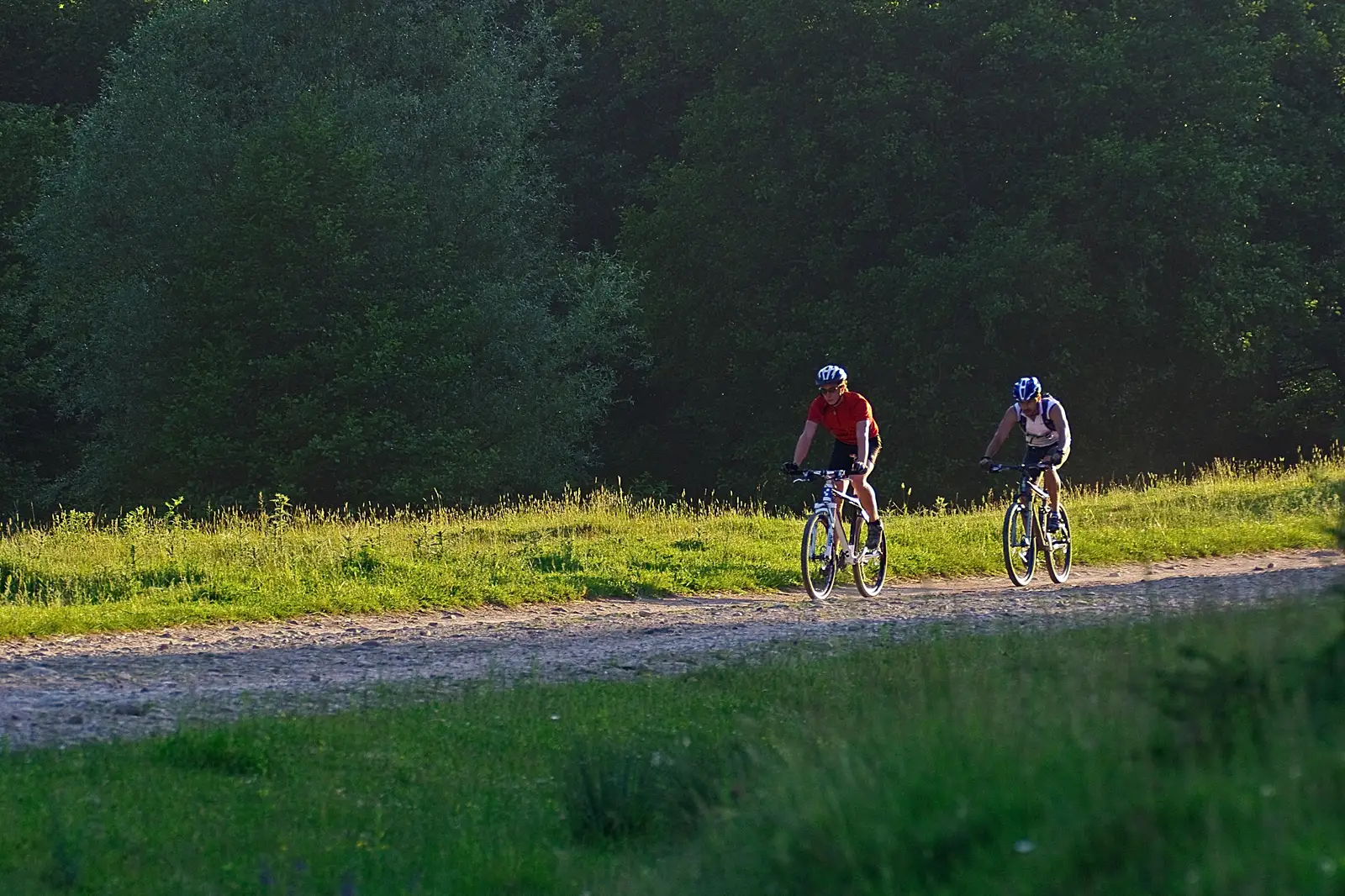 În jurul Lacului de Acumulare Poiana Ruscă / Around Poiana Rusca Reservoir