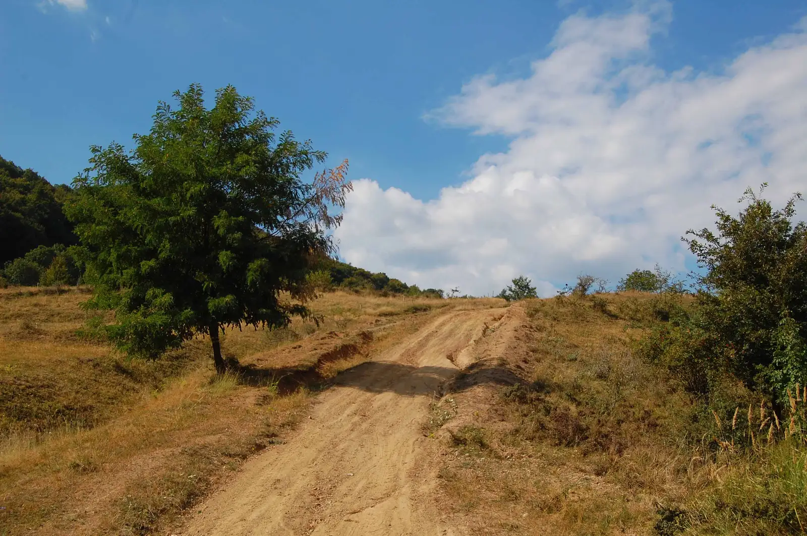 satul Tăuți - Cetatea Tăuți (Vf. Stânii)