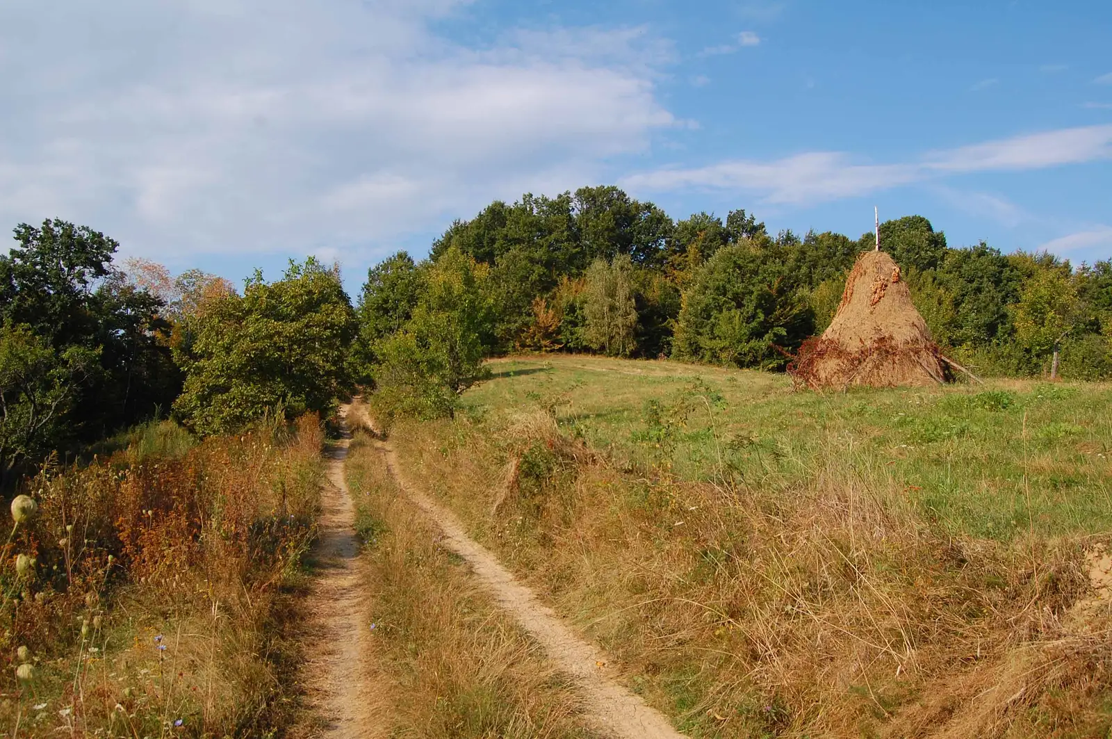 Zlatna - Cheile Cibului - Mada - lângă Vf.Cepturar - Geoagiu Băi